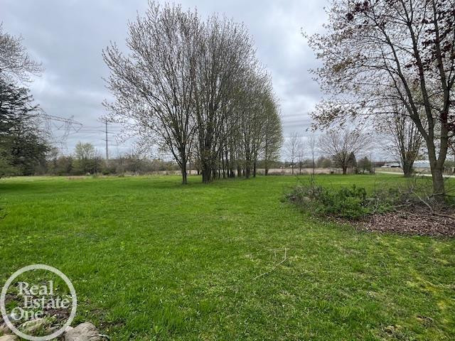 9402 Rynn Road, Kenockee, MI 48006 — Photo 8