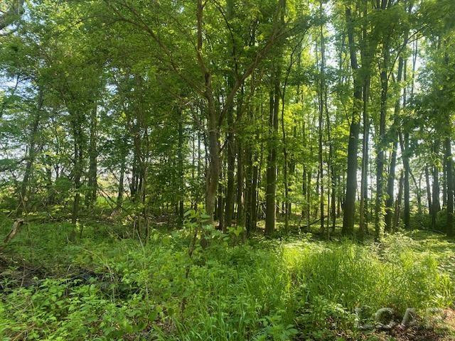 1171 S Rogers Highway, Palmyra, MI 49268 — Photo 11