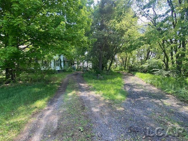 1171 S Rogers Highway, Palmyra, MI 49268 — Photo 13