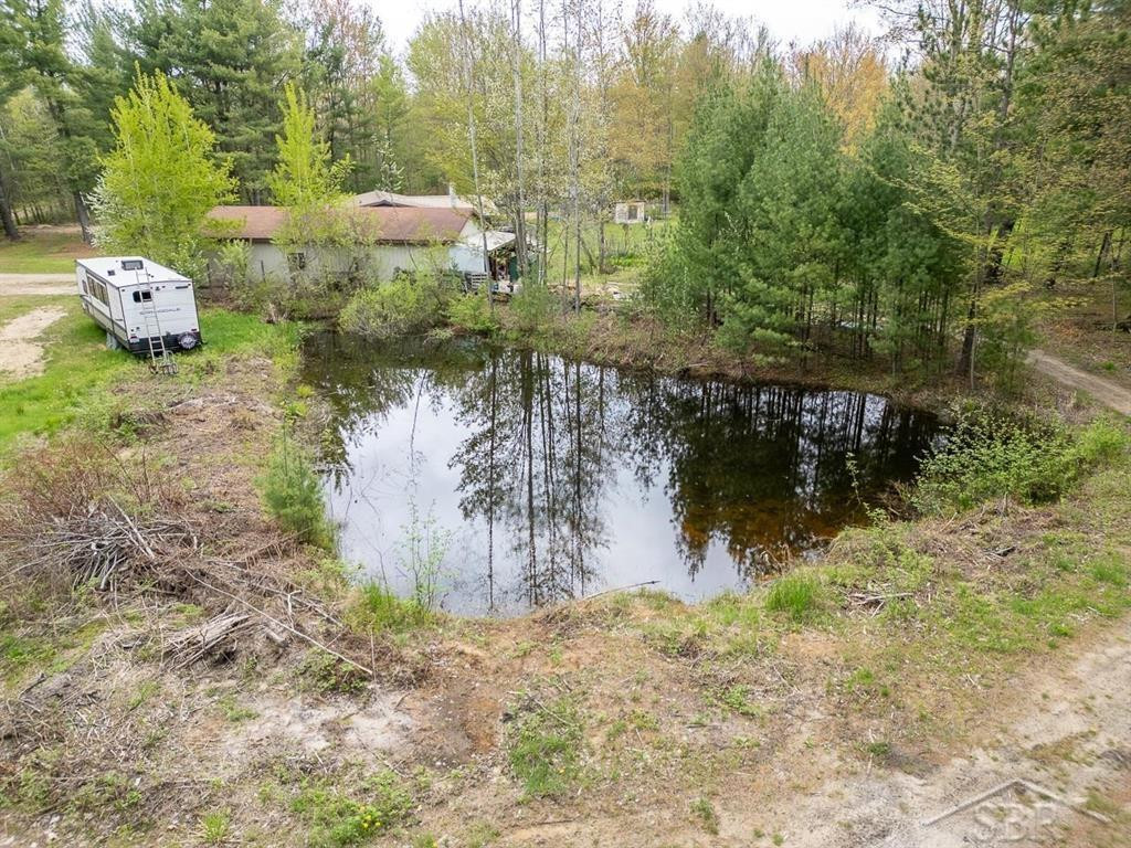 5332 N Alamando Road, Coleman, MI 48618 — Photo 18