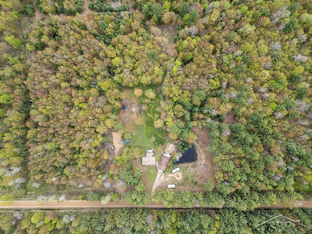 5332 N Alamando Road, Coleman, MI 48618 — Photo 23