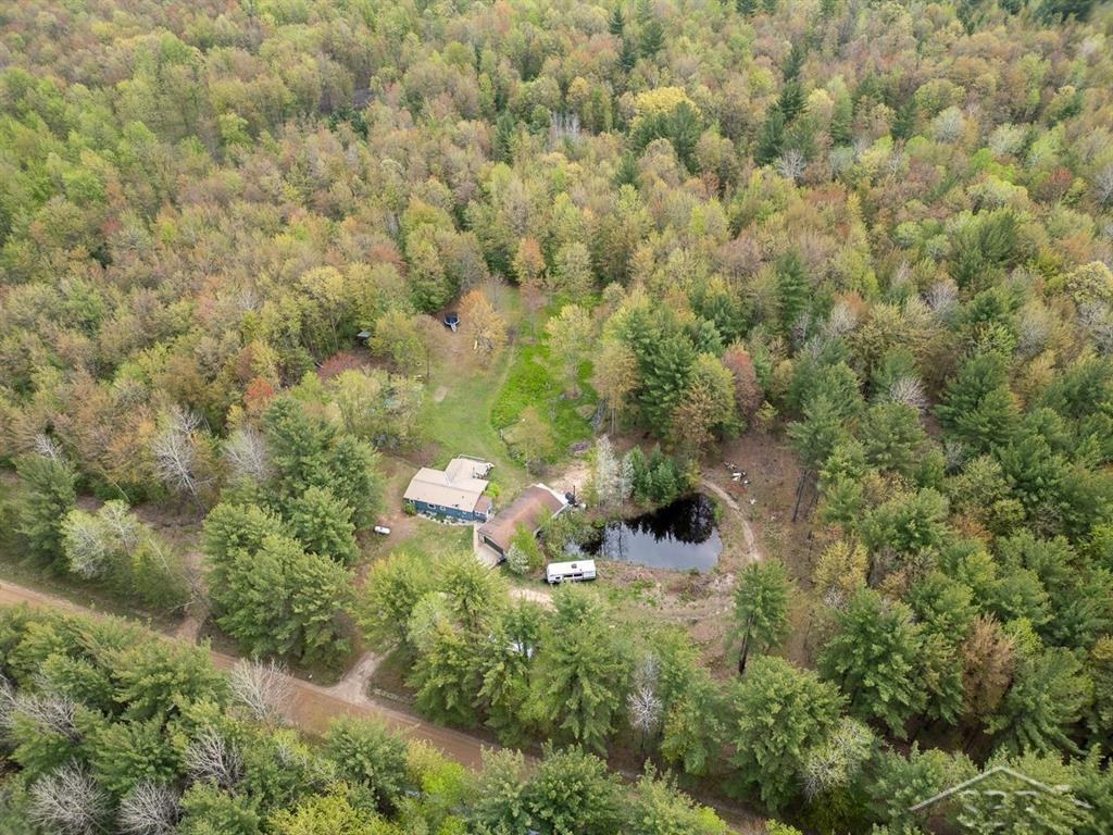 5332 N Alamando Road, Coleman, MI 48618 — Photo 24