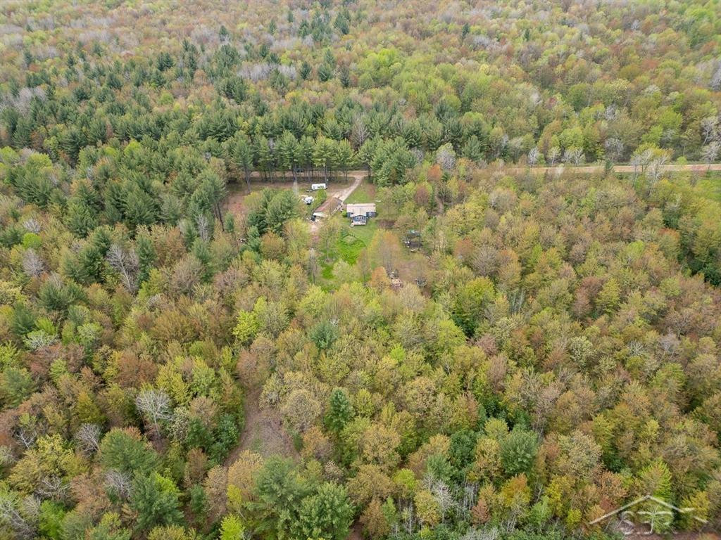 5332 N Alamando Road, Coleman, MI 48618 — Photo 28