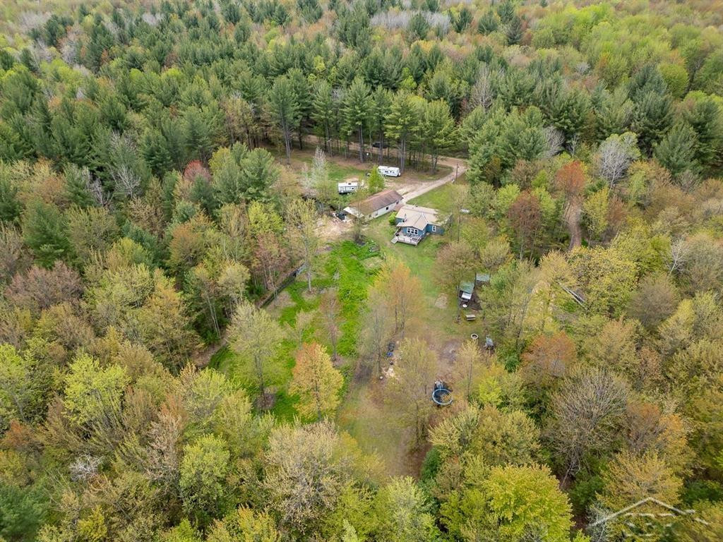5332 N Alamando Road, Coleman, MI 48618 — Photo 27