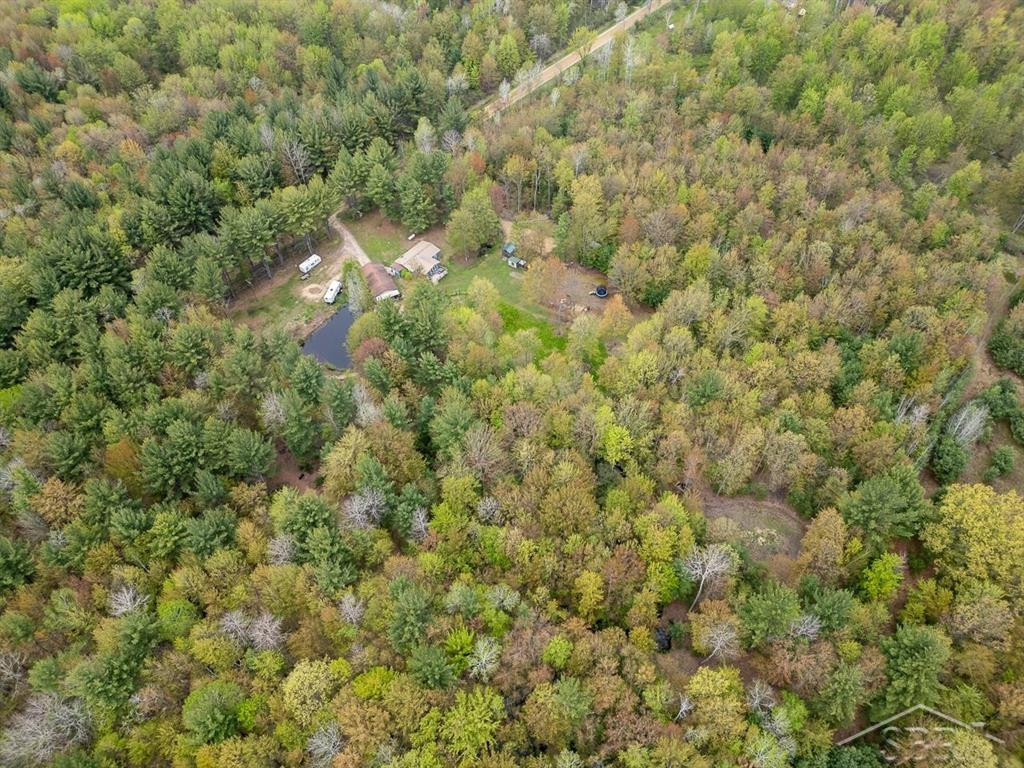 5332 N Alamando Road, Coleman, MI 48618 — Photo 29