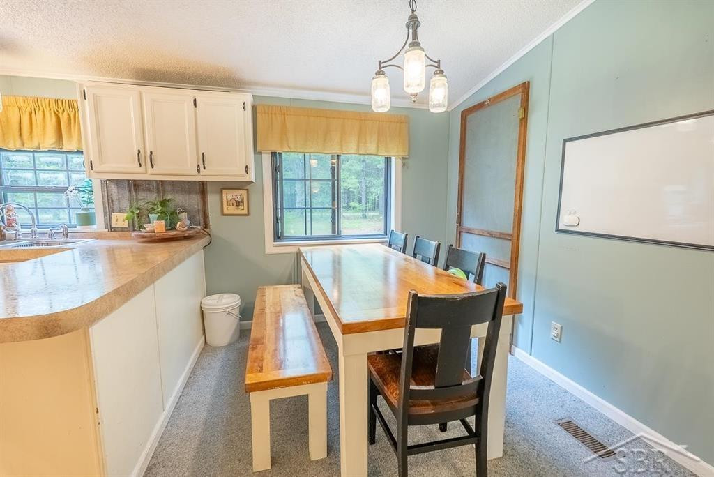 5332 N Alamando Road, Coleman, MI 48618 — Photo 35