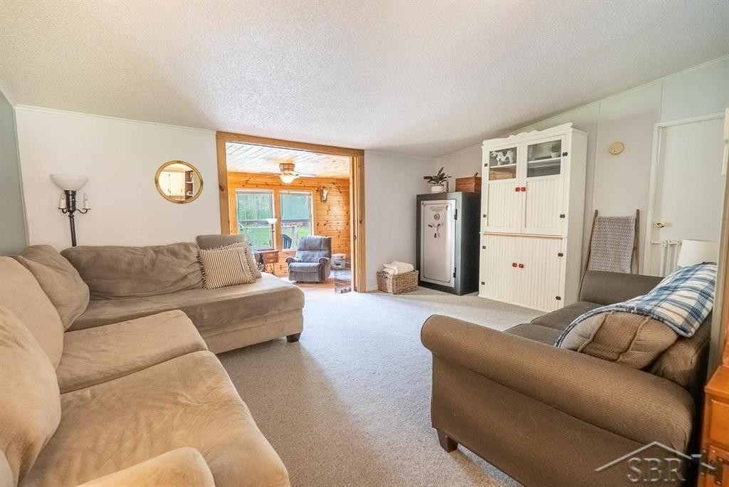 5332 N Alamando Road, Coleman, MI 48618 — Photo 37