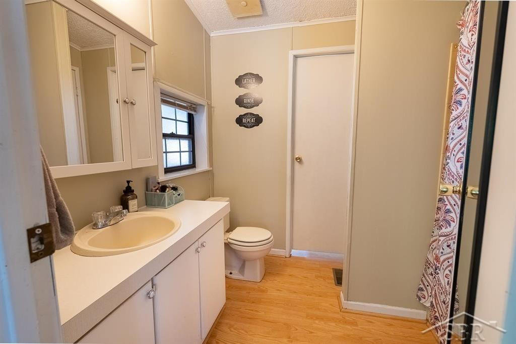 5332 N Alamando Road, Coleman, MI 48618 — Photo 41