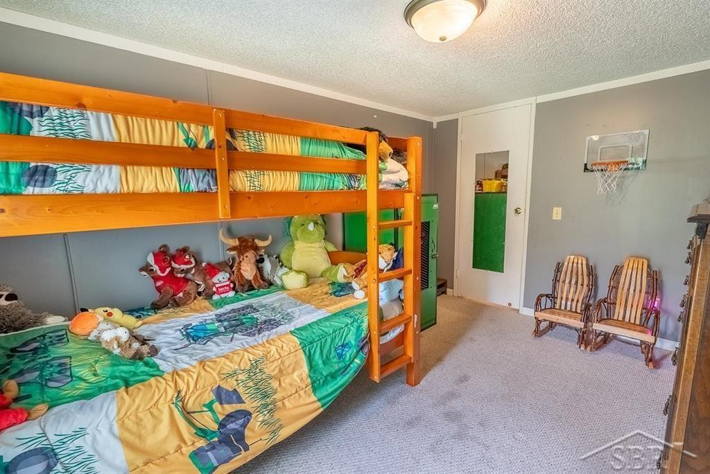 5332 N Alamando Road, Coleman, MI 48618 — Photo 43