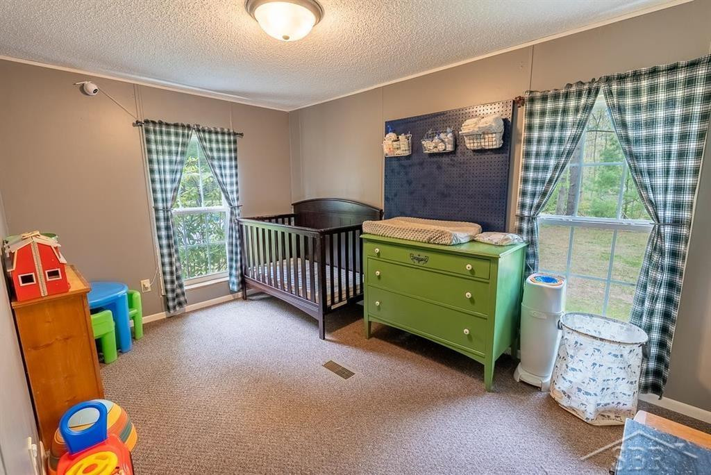 5332 N Alamando Road, Coleman, MI 48618 — Photo 45