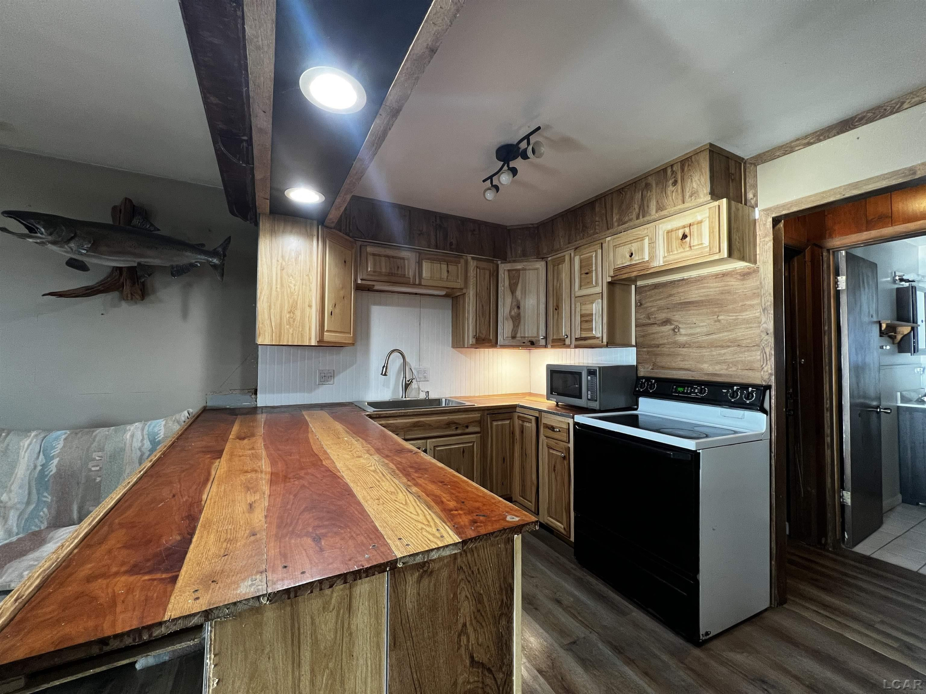 11698 Elm Park Drive, Manitou Beach, MI 49253 — Photo 9