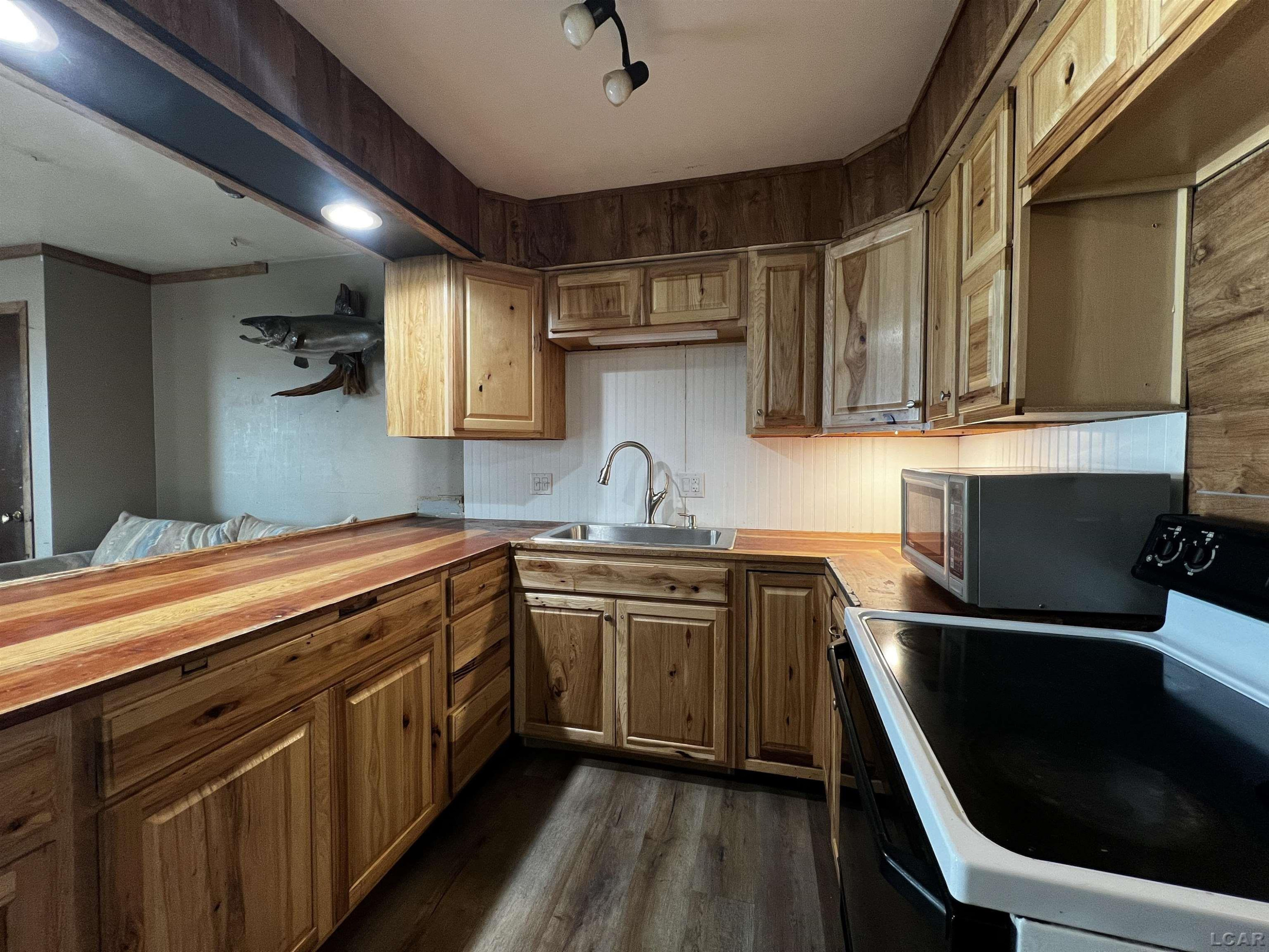 11698 Elm Park Drive, Manitou Beach, MI 49253 — Photo 10