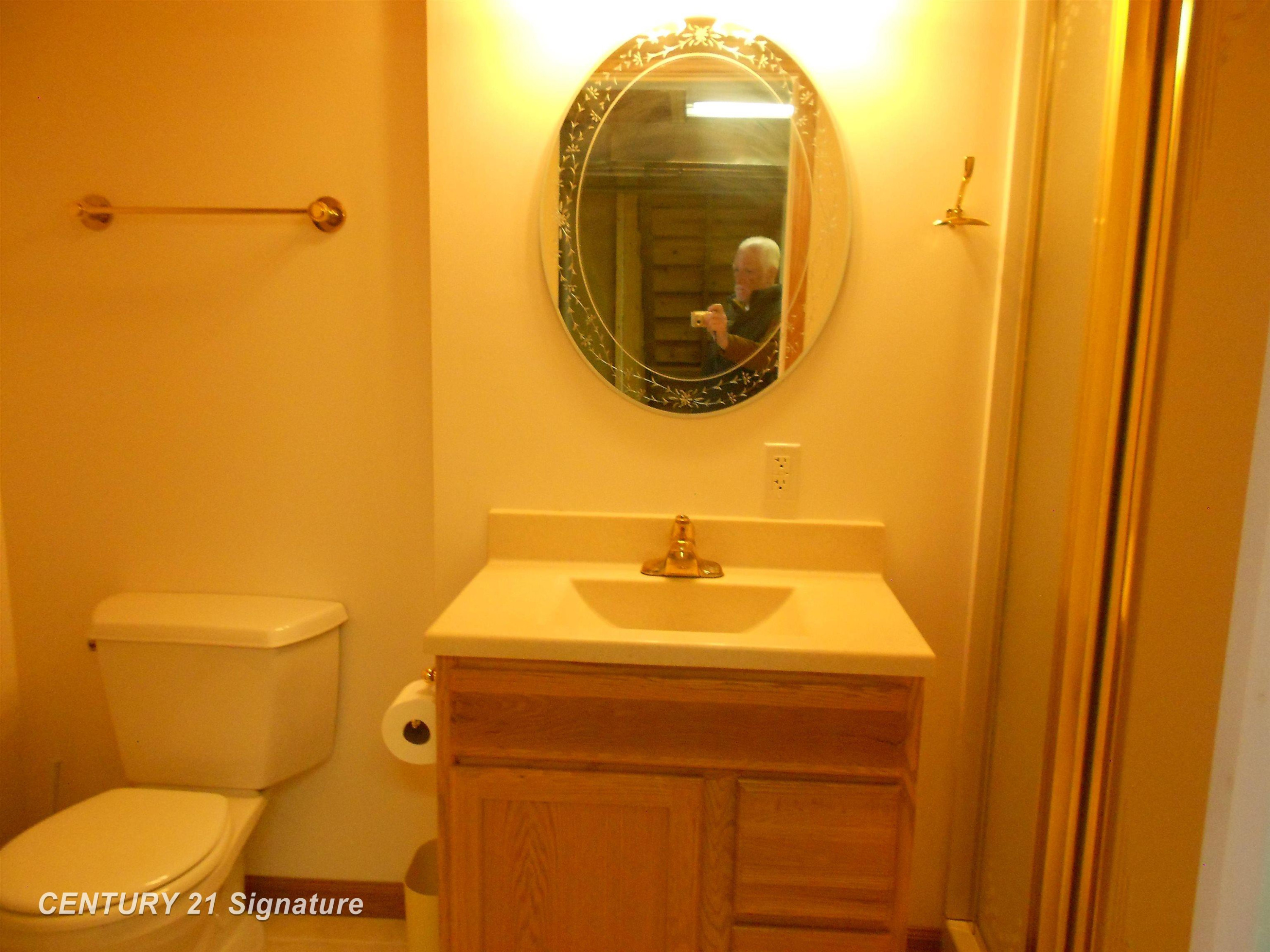 300 Ireland Court, Auburn, MI 48611 — Photo 27