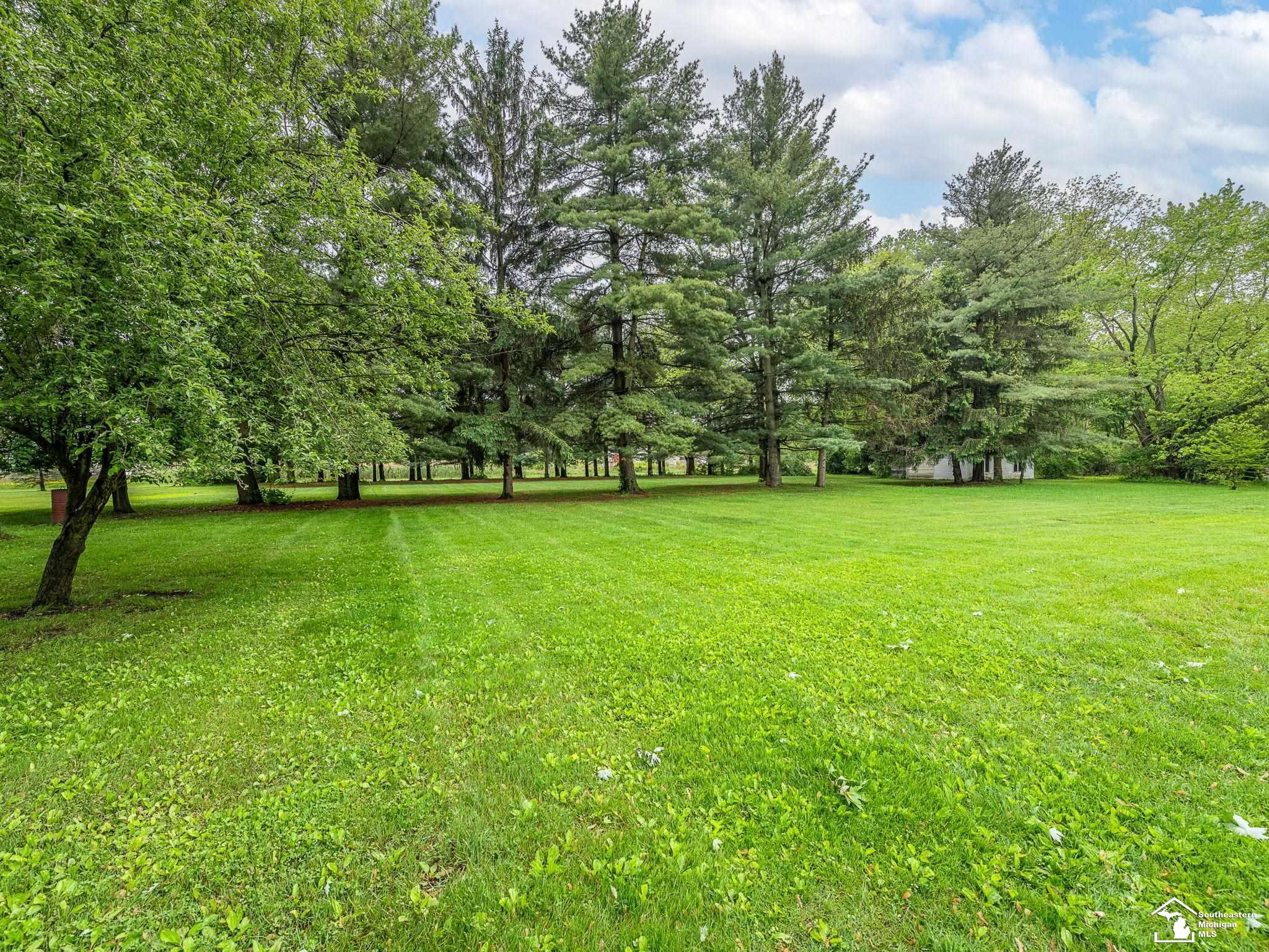 6737 Green Road, MI 49267 — Photo 41