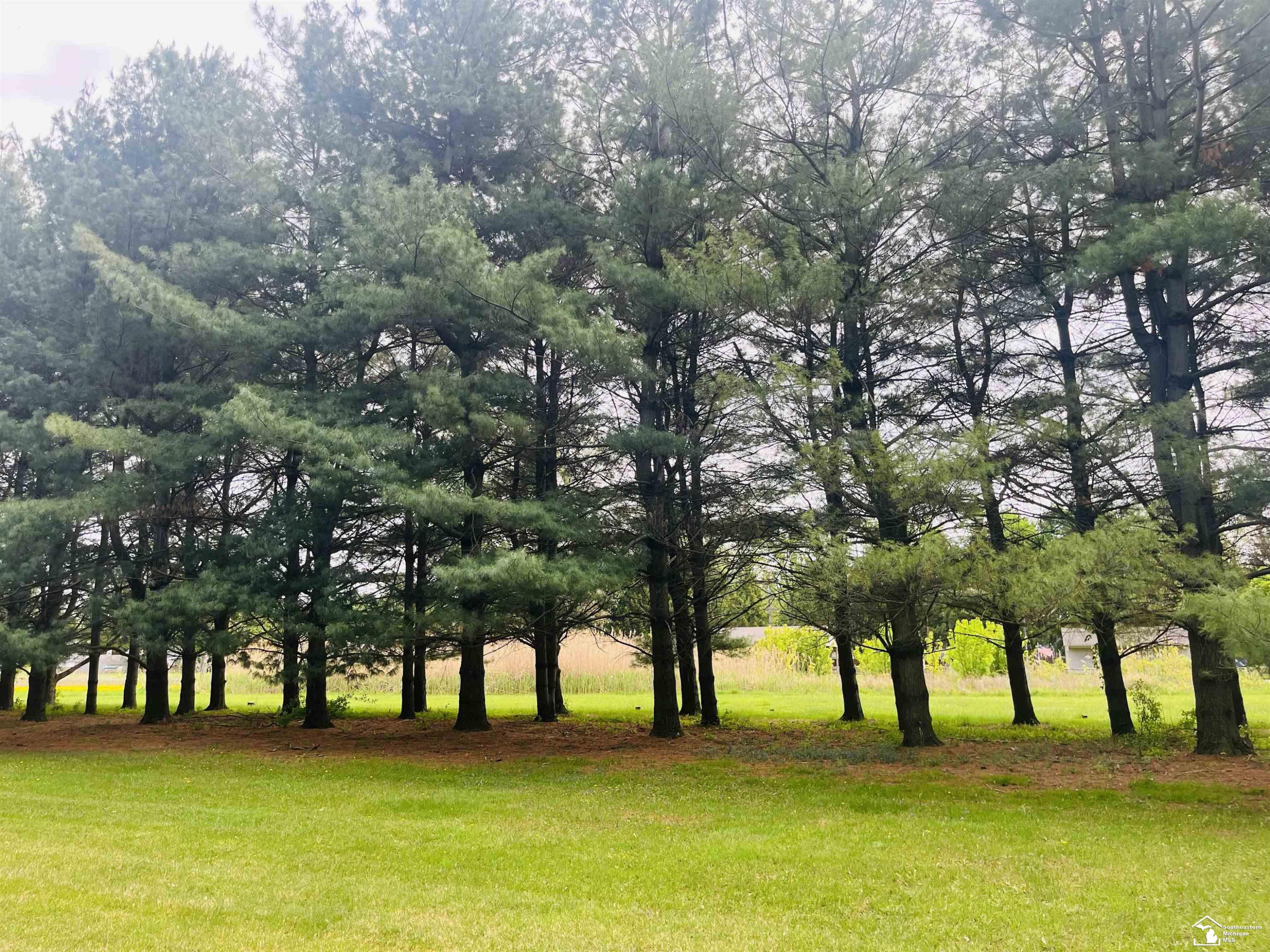 6737 Green Road, MI 49267 — Photo 47