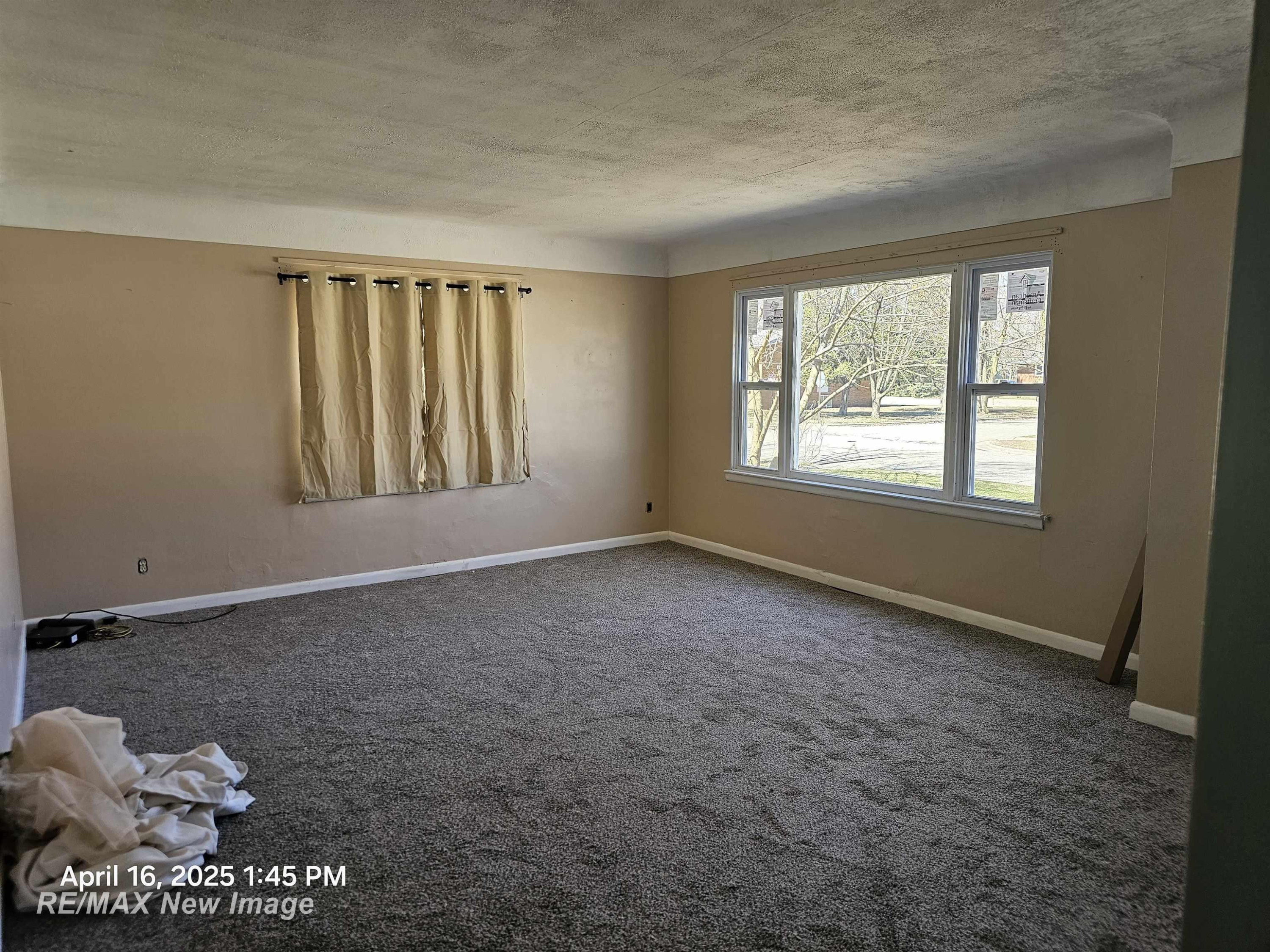 6606 Garfield Avenue, Cass City, MI 48726 — Photo 4