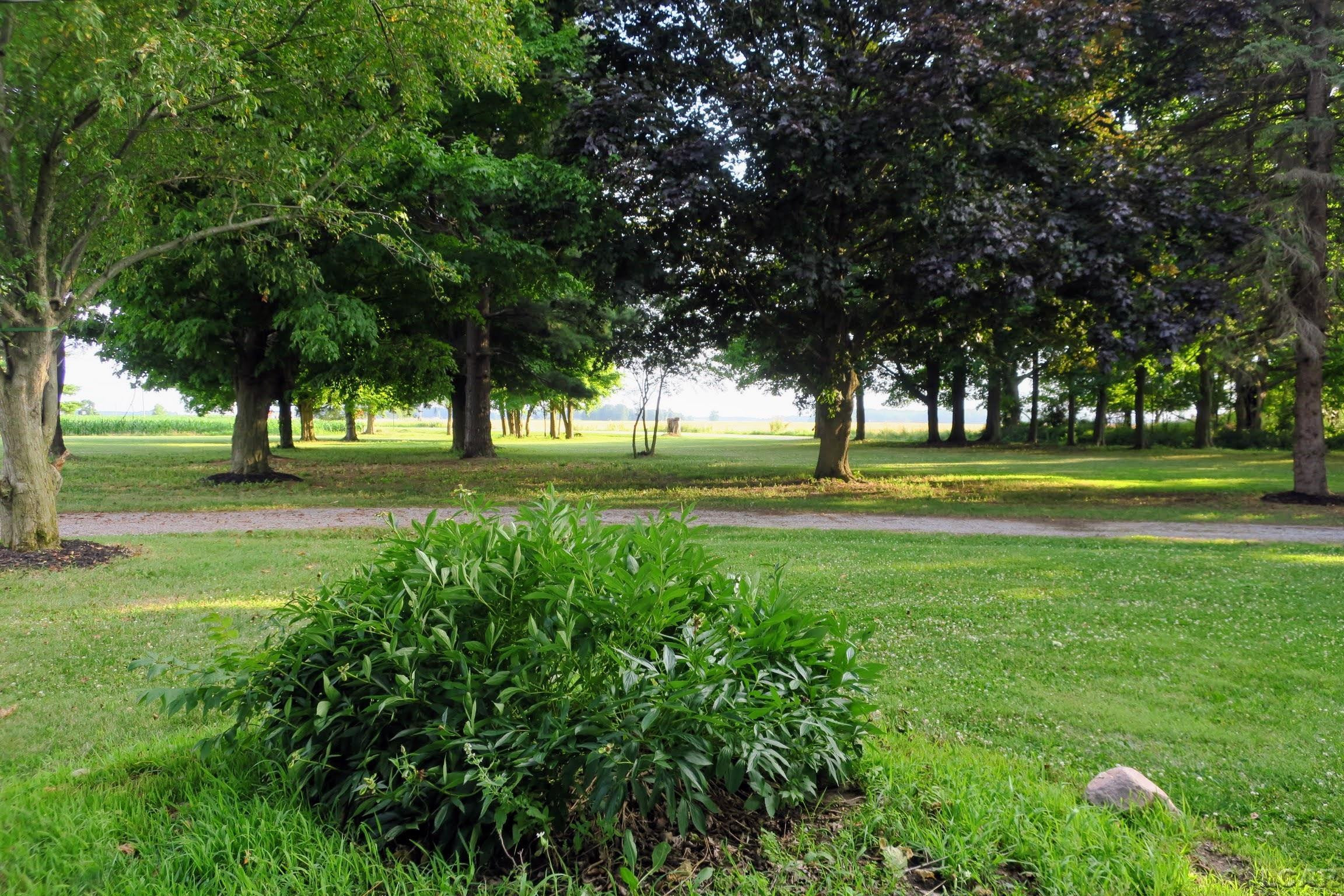 12765 Sand Creek Highway, Sand Creek, MI 49279 — Photo 9