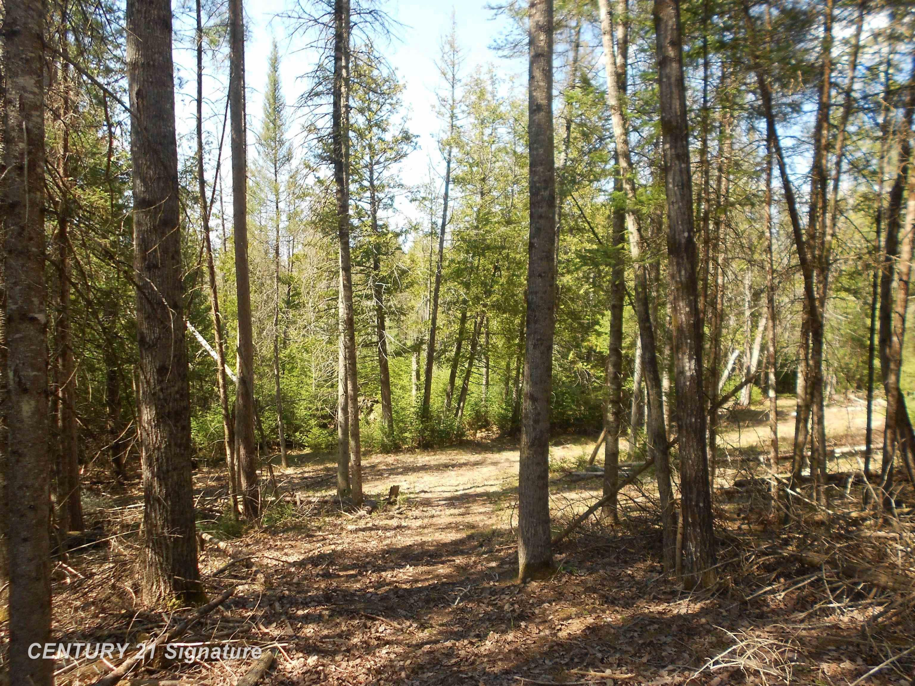 590 Fleetwater Drive, Luzerne, MI 48636 — Photo 36