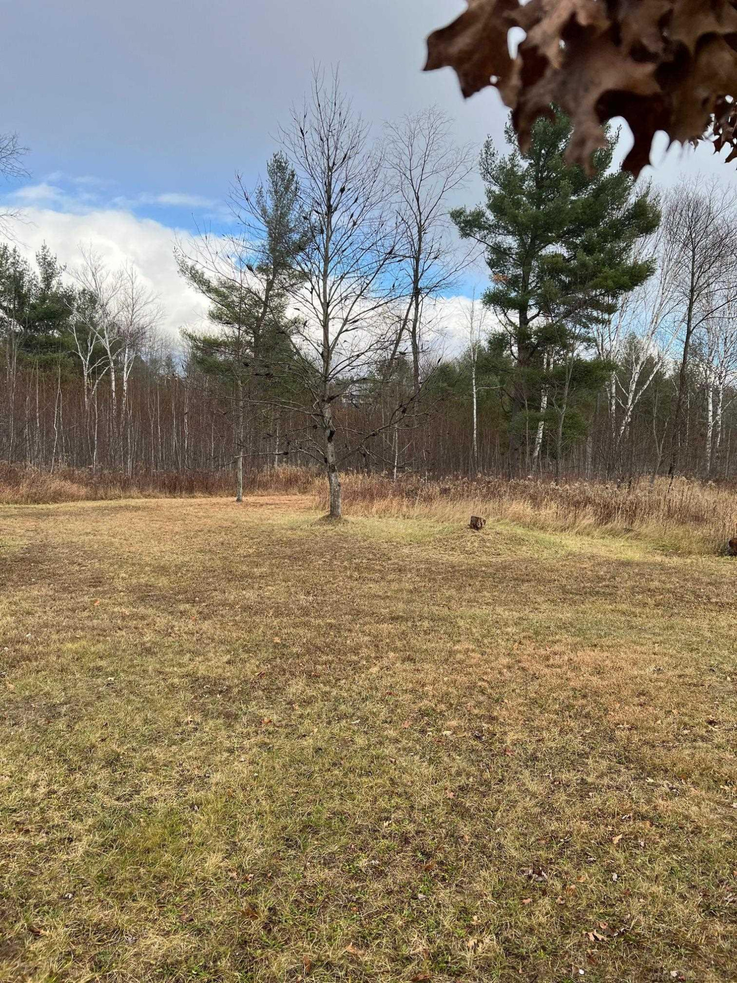3065 S Curtisville Road, South Branch, MI 48761 — Photo 24