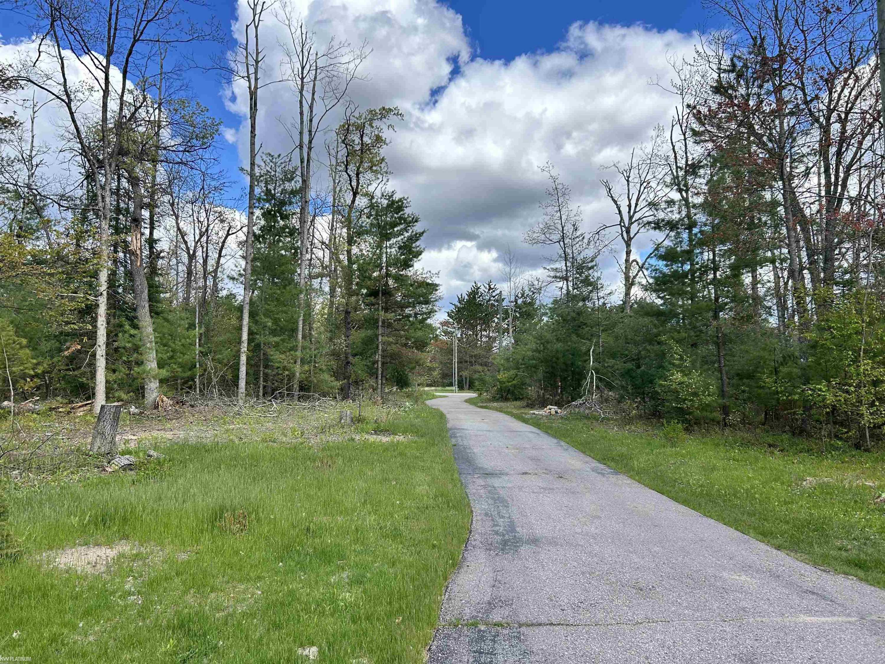 5077 Henry Highway Highway, Lewiston, MI 49756 — Photo 10
