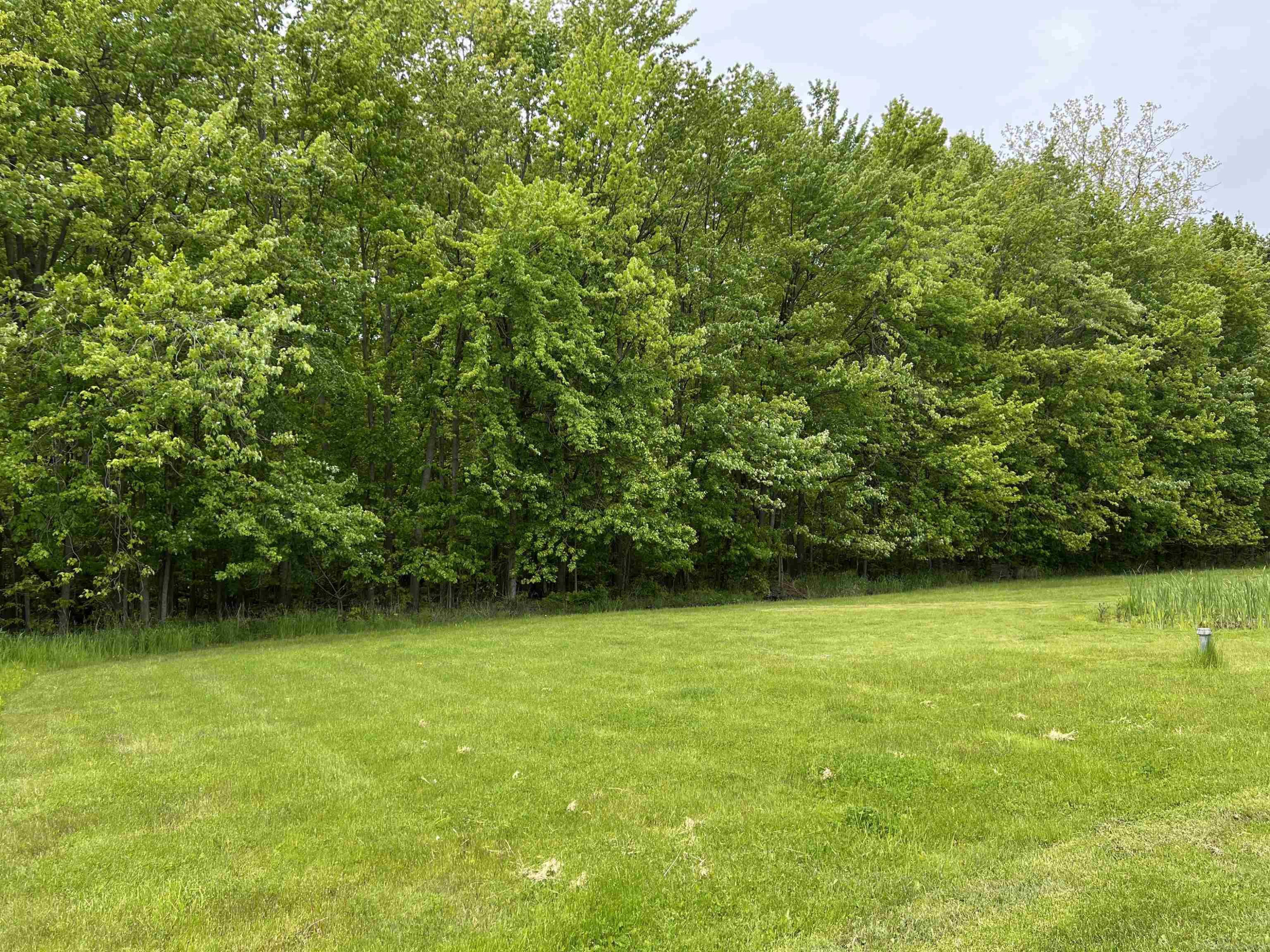 815 Cove Road, Wales, MI — Photo 4