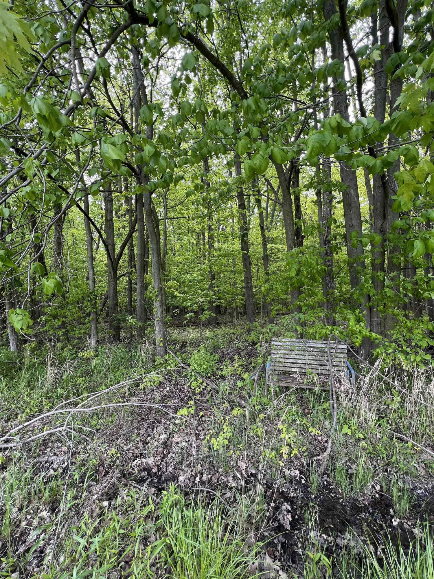 815 Cove Road, Wales, MI — Photo 5