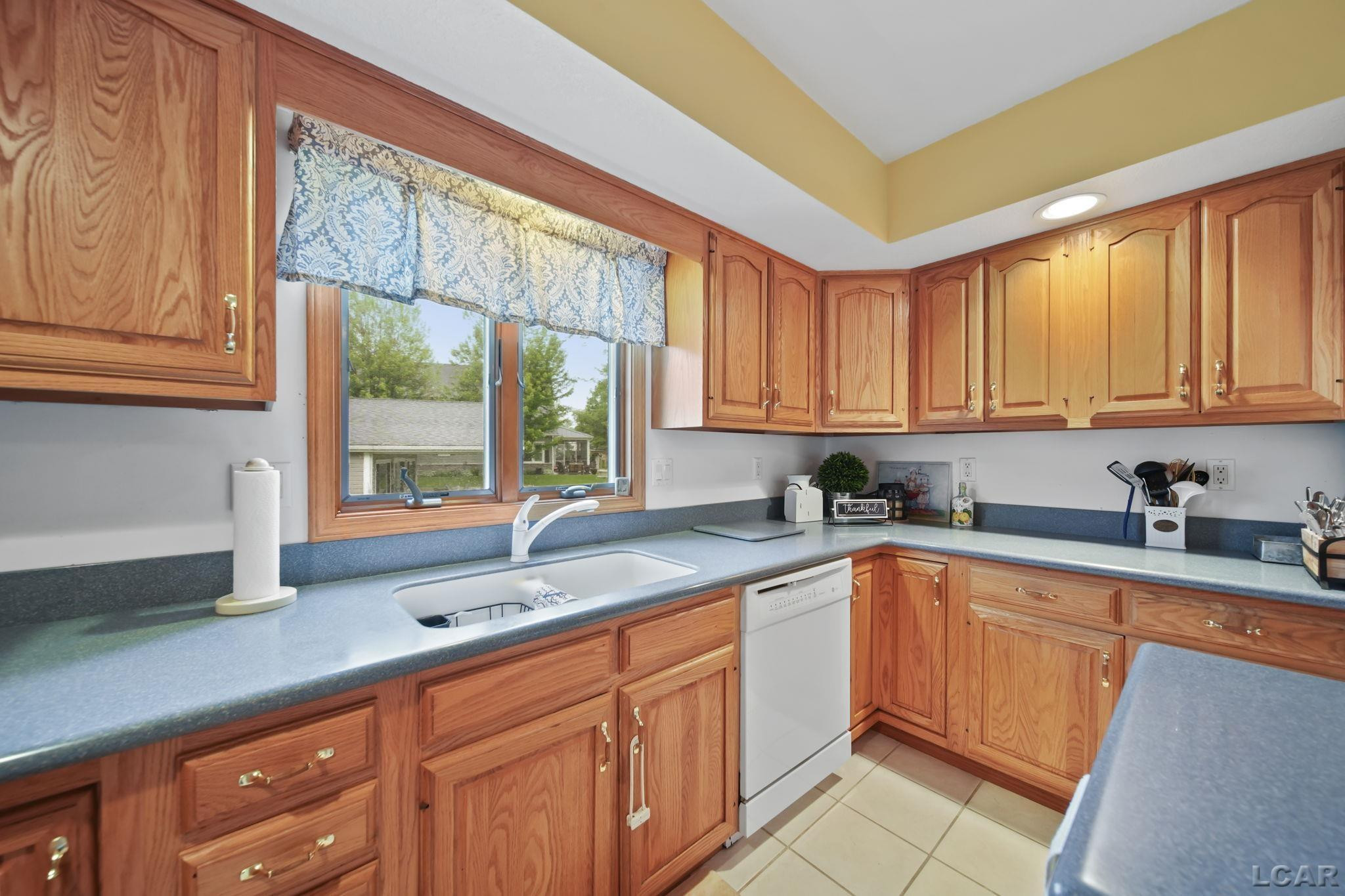 227 Lake View Drive, Hudson, MI 49247 — Photo 16