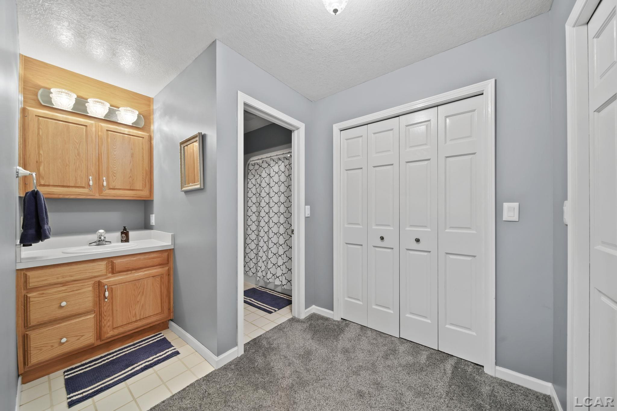 227 Lake View Drive, Hudson, MI 49247 — Photo 20