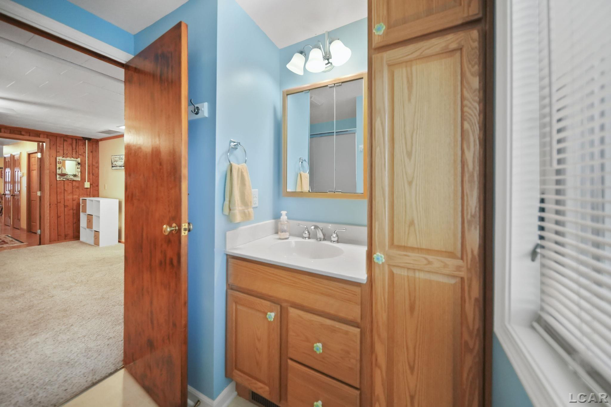 227 Lake View Drive, Hudson, MI 49247 — Photo 36