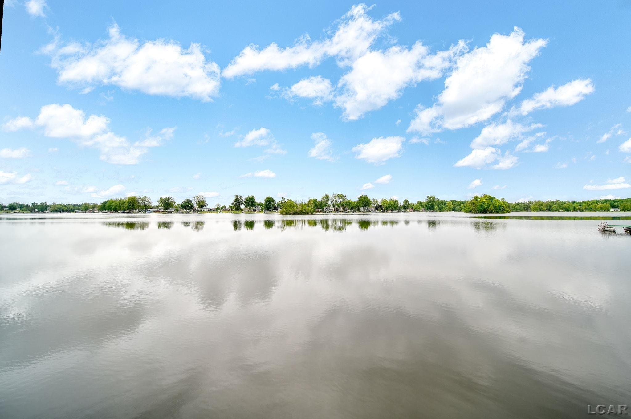 227 Lake View Drive, Hudson, MI 49247 — Photo 46