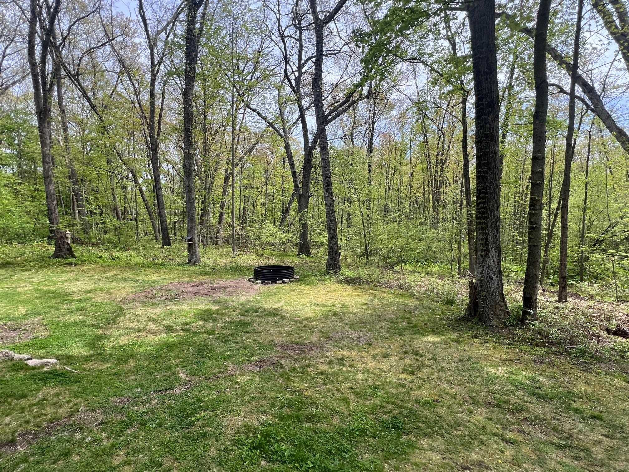 9401 Lakeview Drive, Linden, MI 48451 — Photo 34