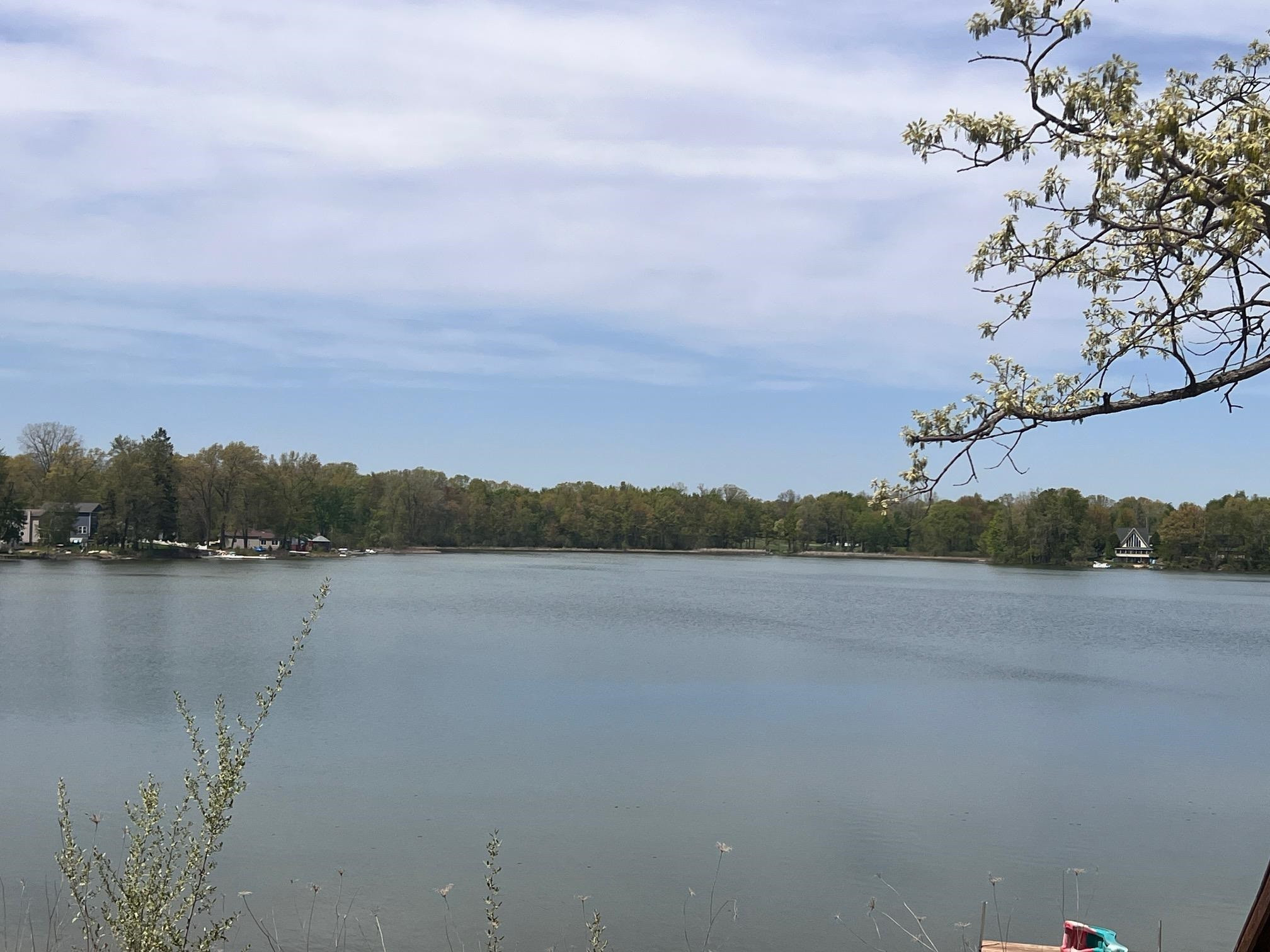 9401 Lakeview Drive, Linden, MI 48451 — Photo 37