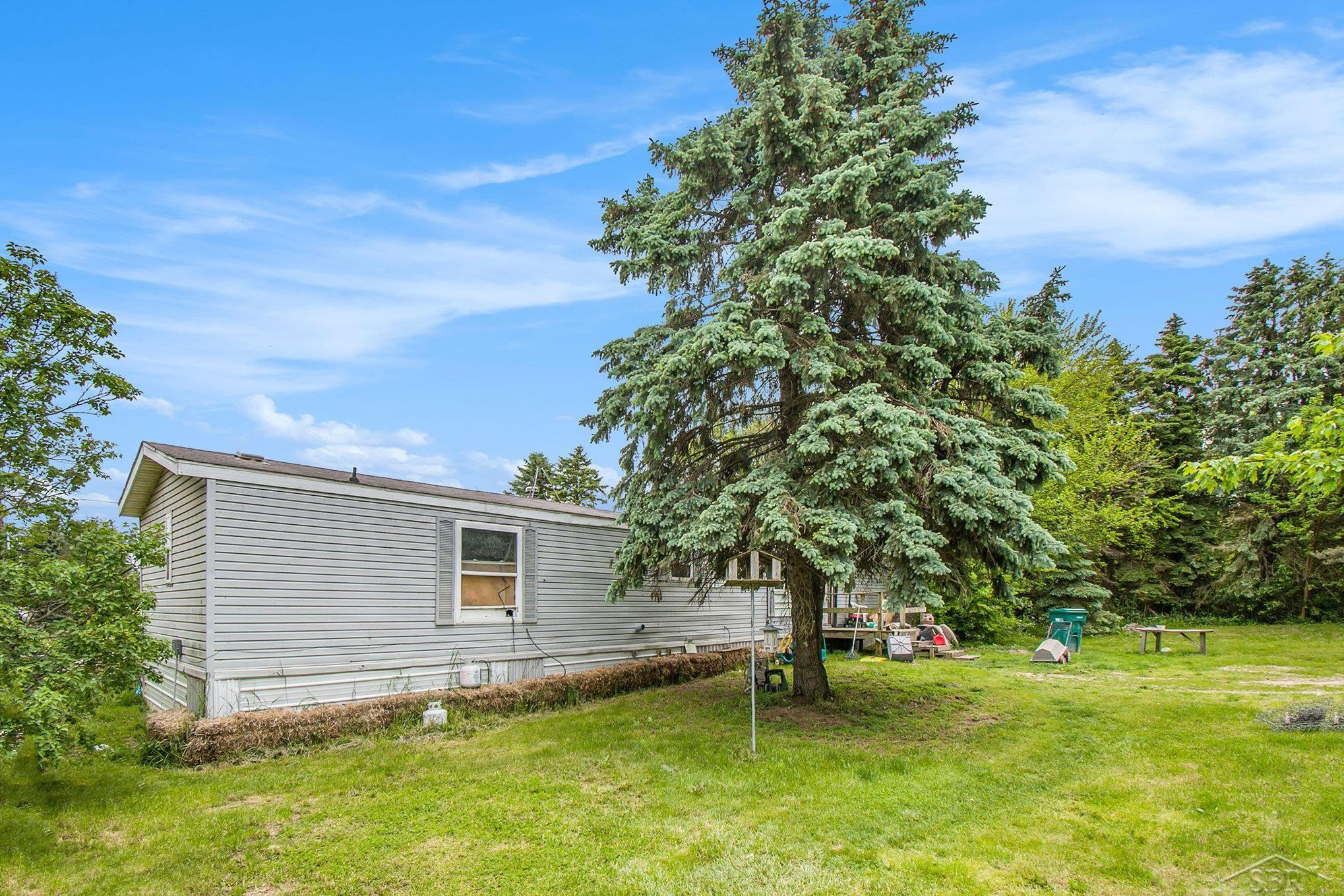 8305 Goodwin Road, Lyons, MI 48851 — Photo 10