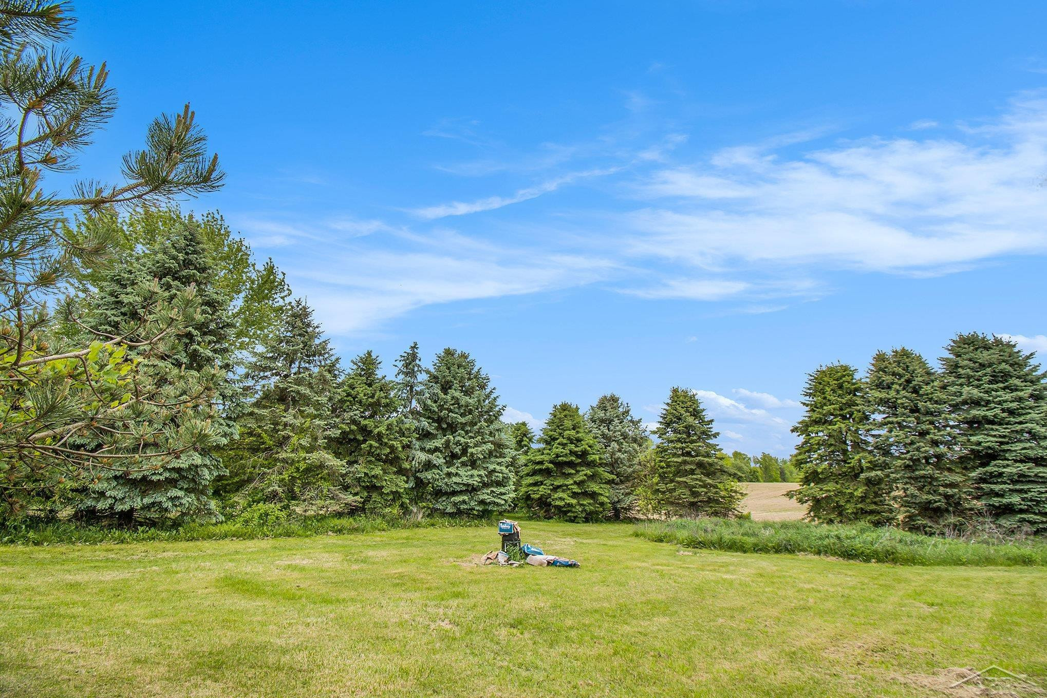 8305 Goodwin Road, Lyons, MI 48851 — Photo 15