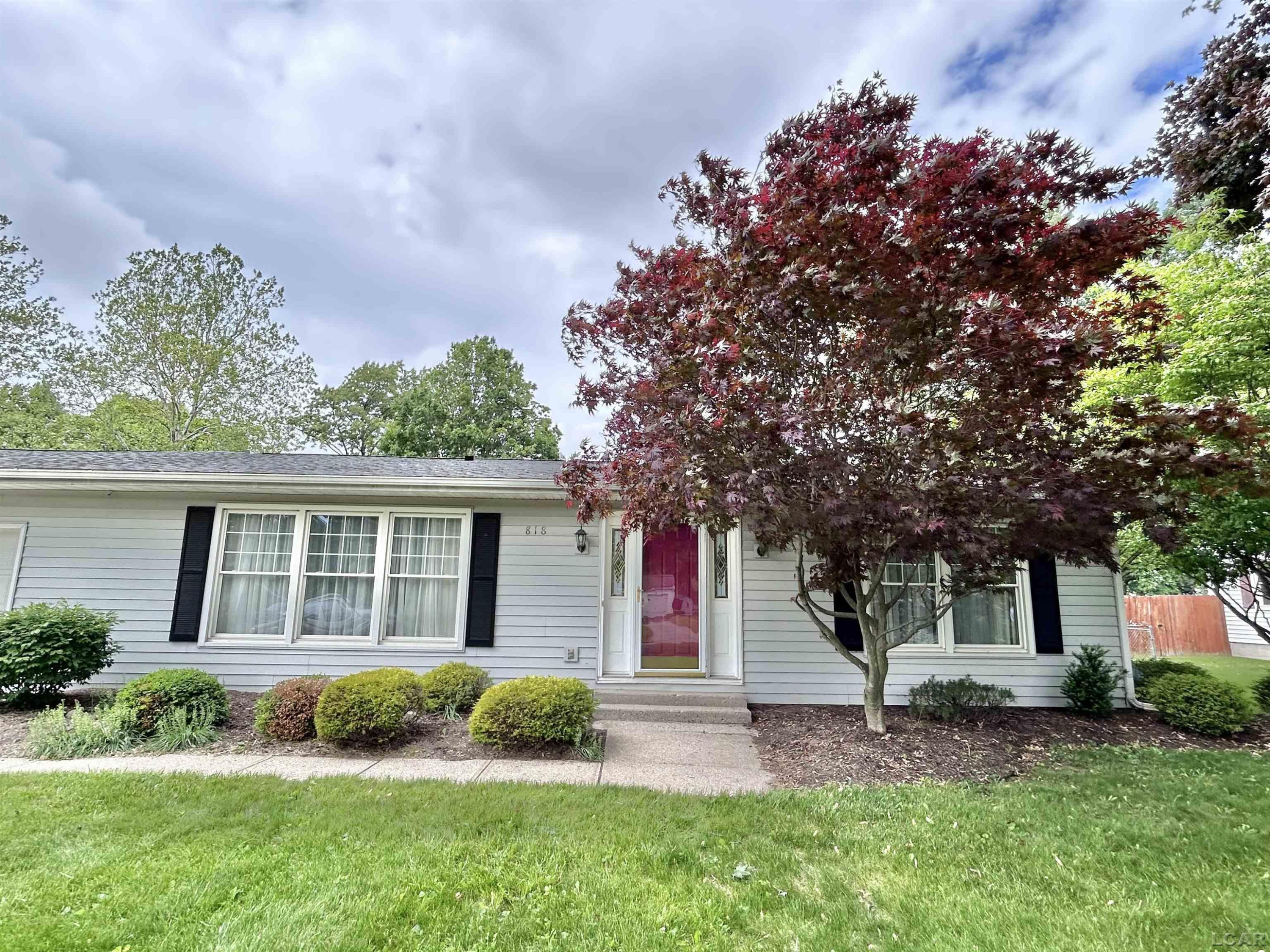 818 W Chestnut Street, Morenci, MI 49256 — Photo 3