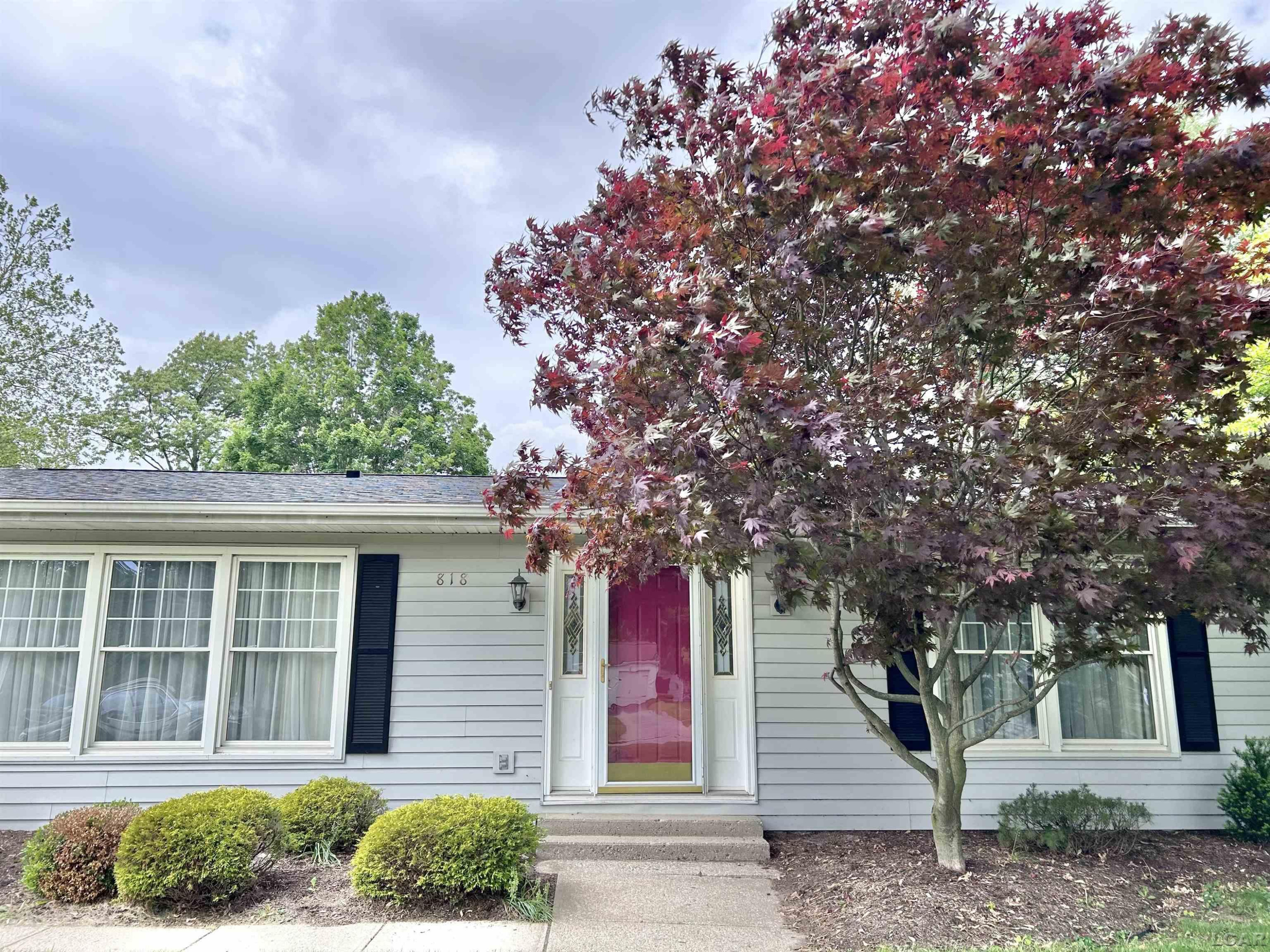 818 W Chestnut Street, Morenci, MI 49256 — Photo 4