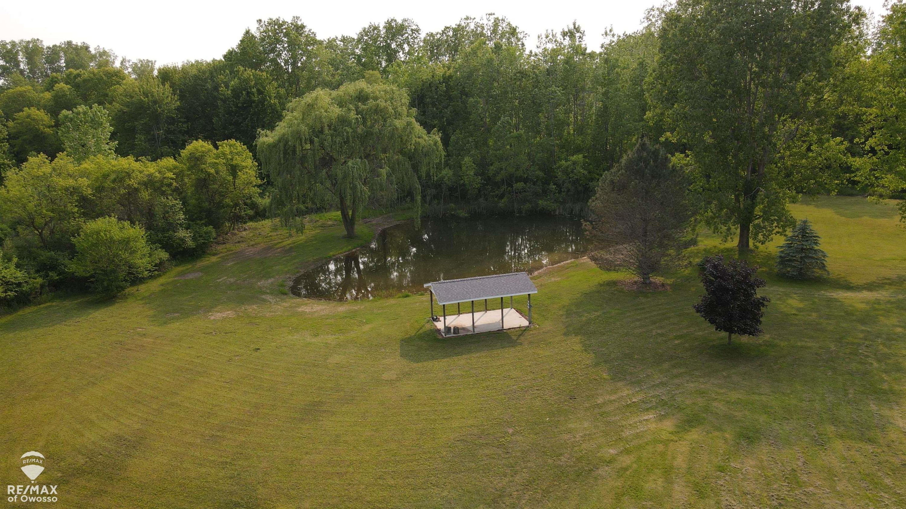 9737 W Mason Road, Ovid, MI 48866 — Photo 5
