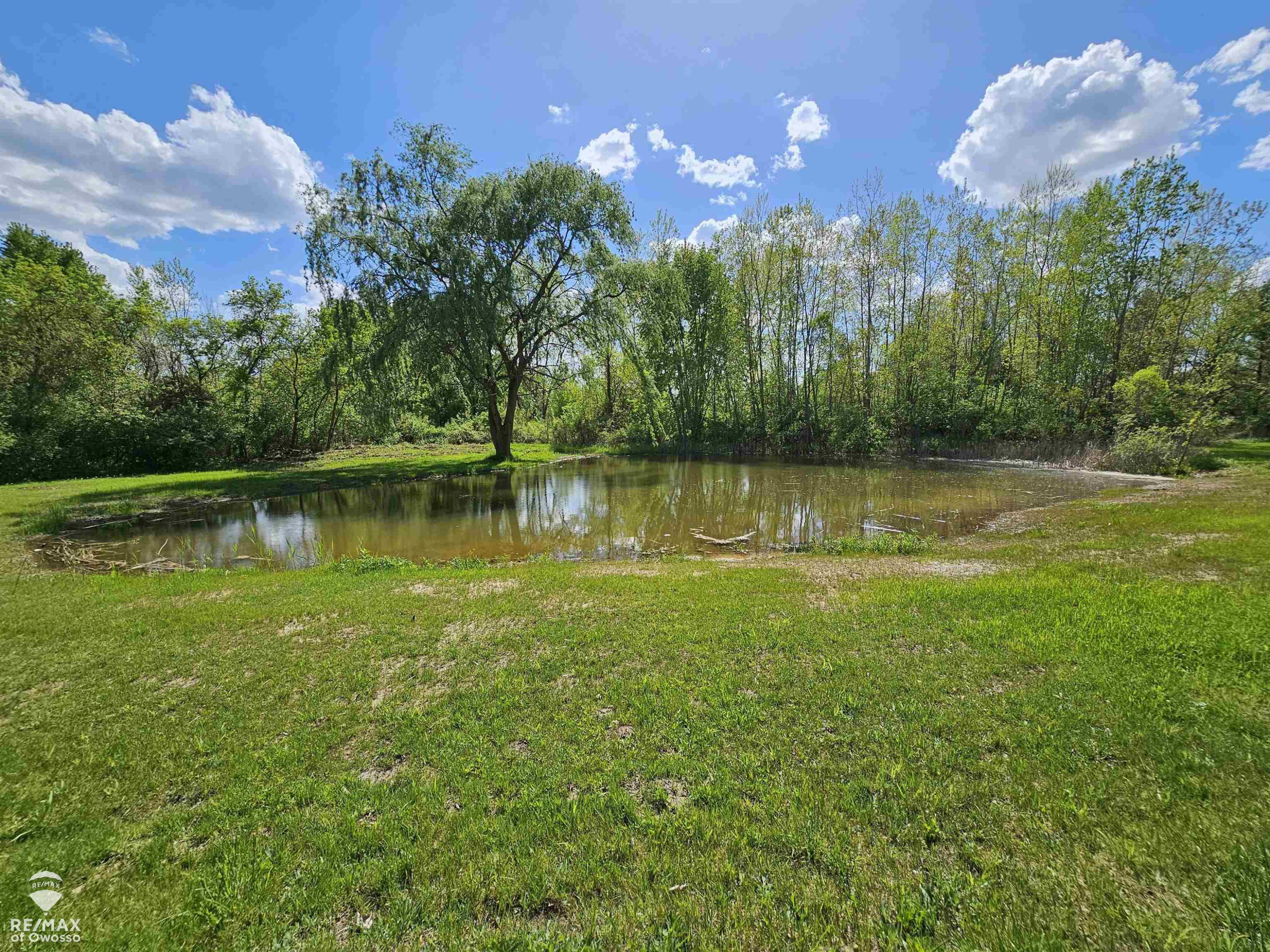 9737 W Mason Road, Ovid, MI 48866 — Photo 9
