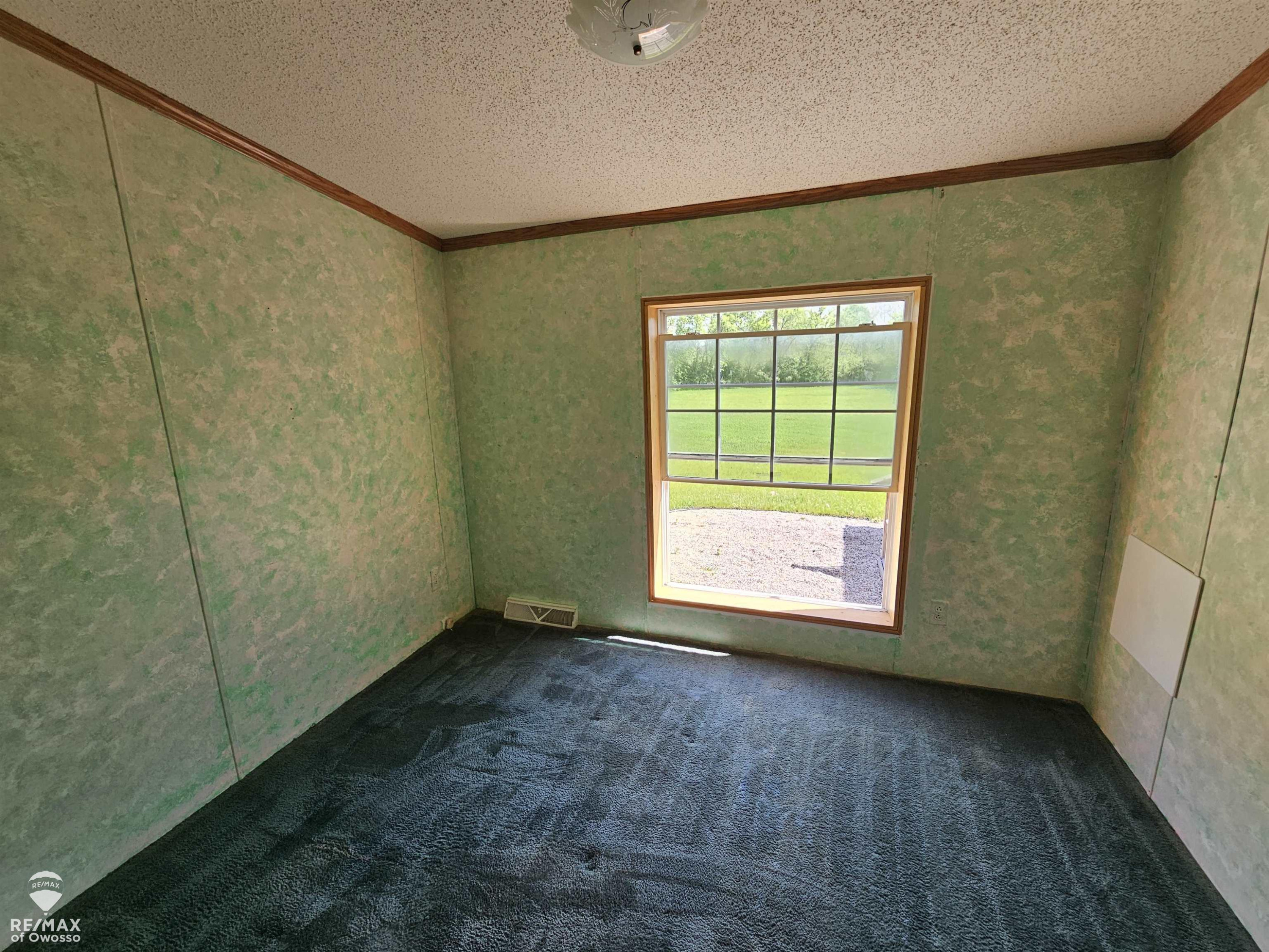 9737 W Mason Road, Ovid, MI 48866 — Photo 21