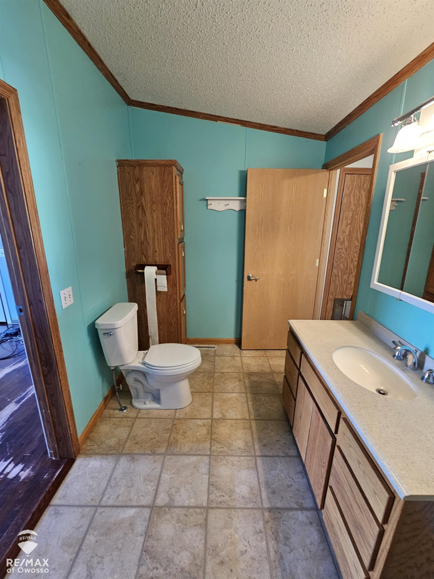 9737 W Mason Road, Ovid, MI 48866 — Photo 28