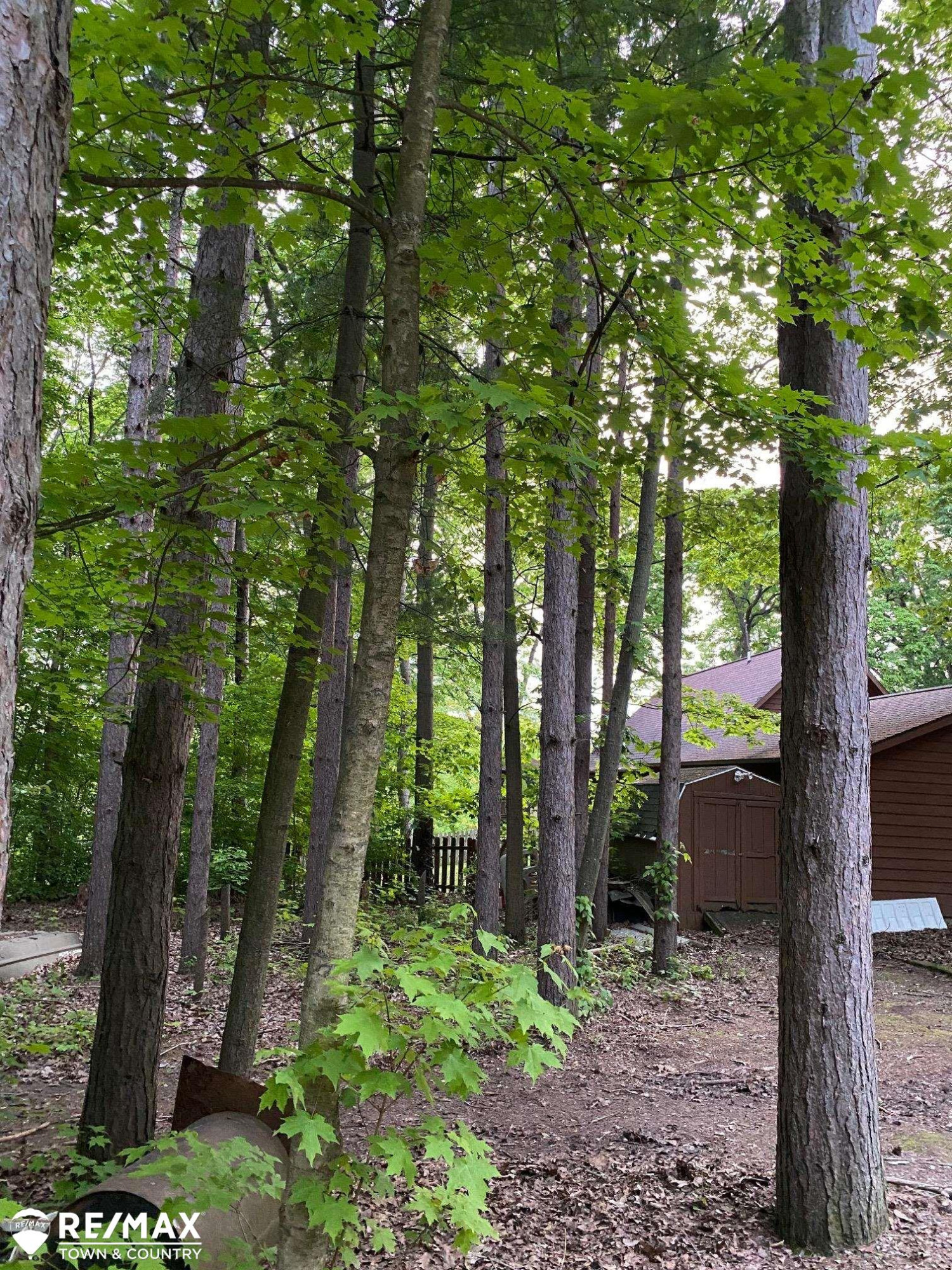 2855 Flint River Road, Lapeer, MI 48446 — Photo 42