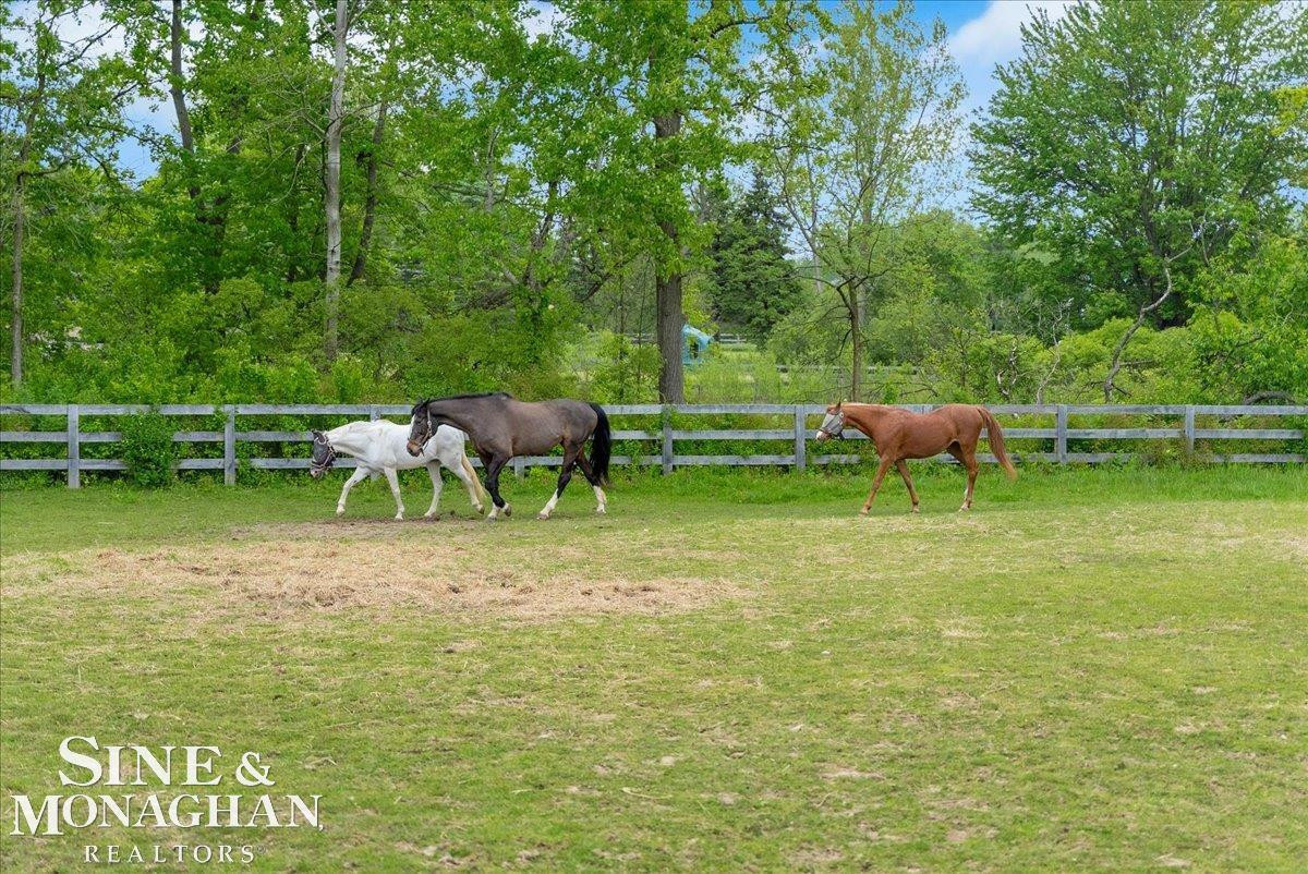 270 N Rochester Road, MI 48367 — Photo 46