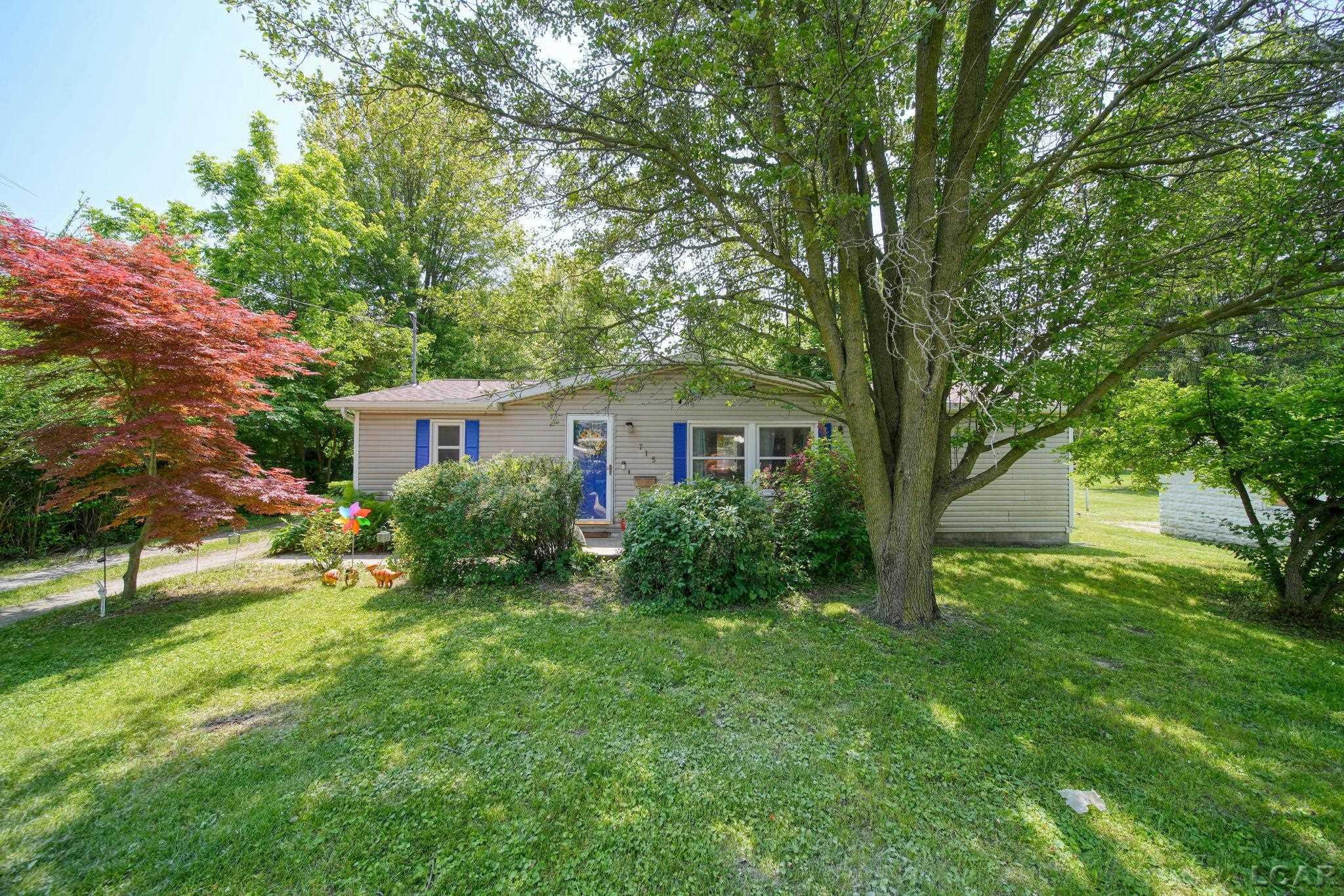 715 W Main Street, Morenci, MI 49256 — Photo 5