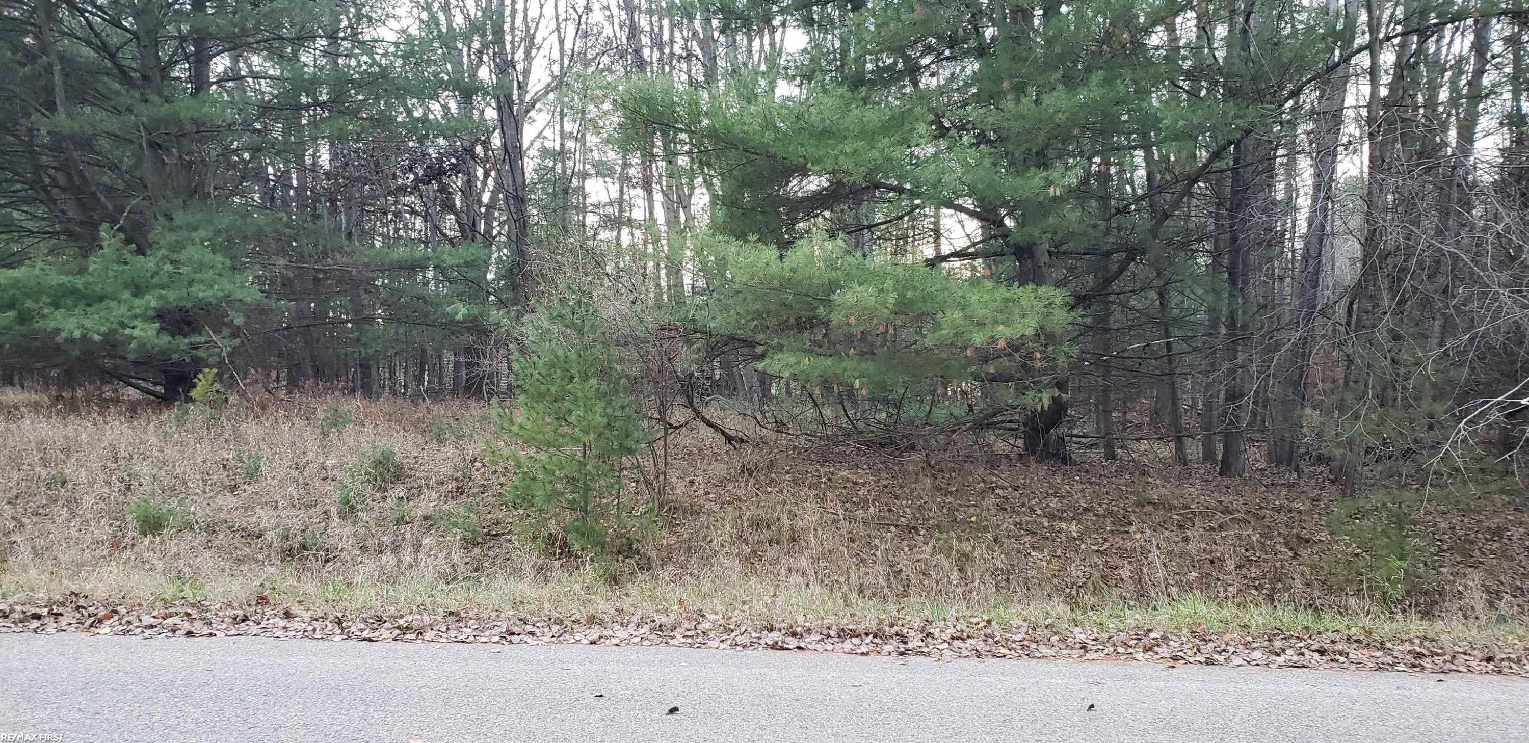 Robindale Way, Gladwin, MI 48624