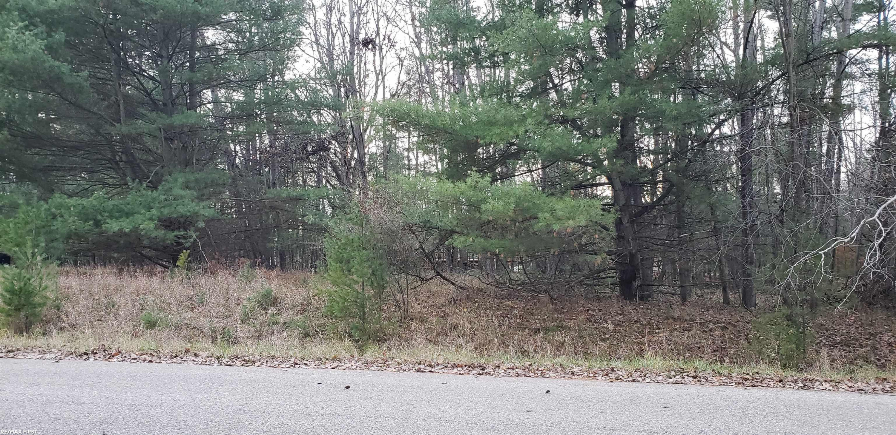 Robindale Way, Gladwin, MI 48624 — Photo 2