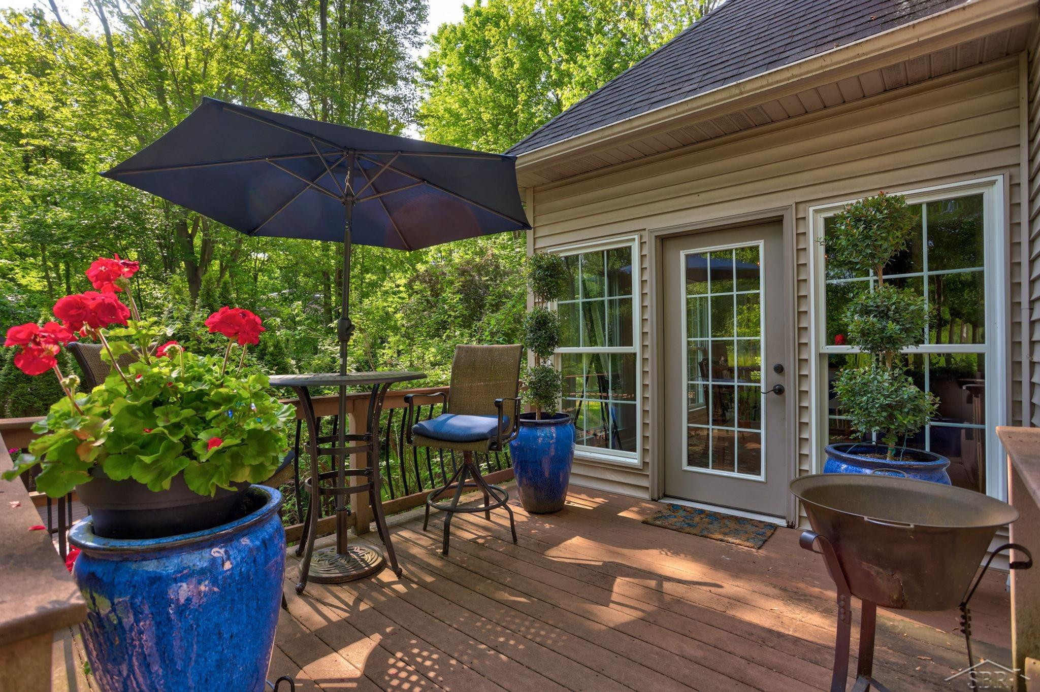 16344 Northern Pintail Drive, Hemlock, MI 48626 — Photo 54