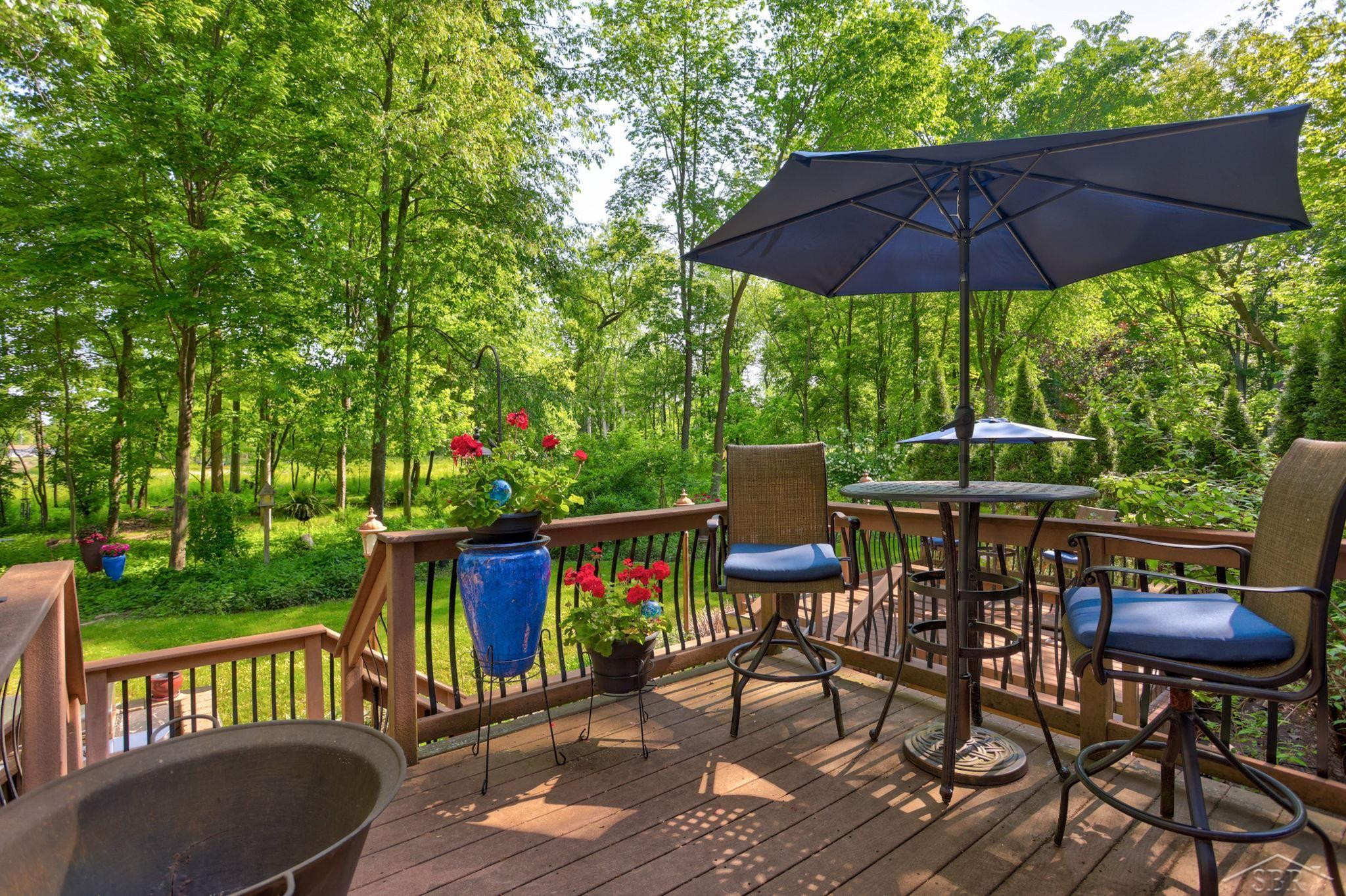 16344 Northern Pintail Drive, Hemlock, MI 48626 — Photo 55