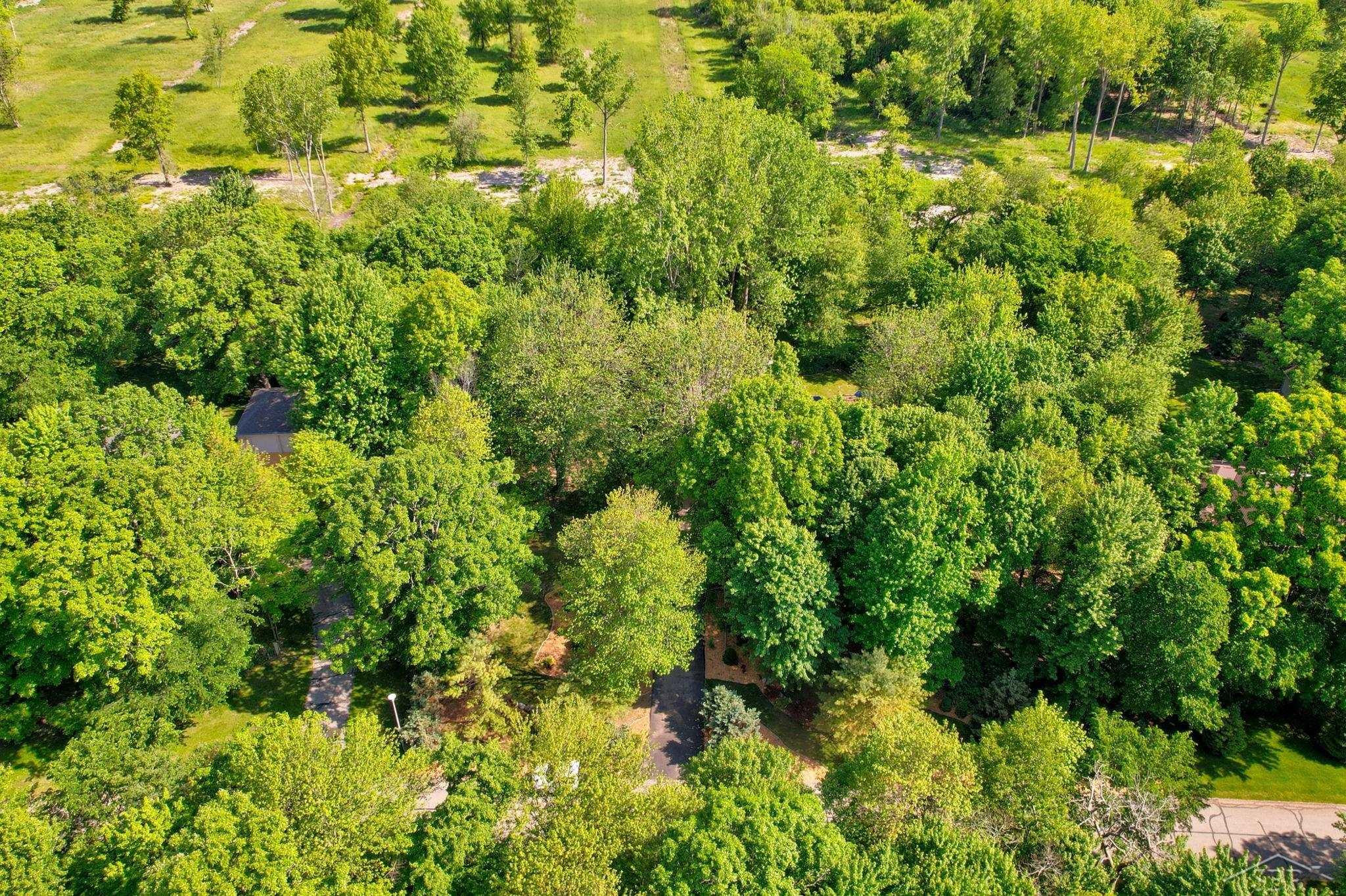 16344 Northern Pintail Drive, Hemlock, MI 48626 — Photo 64