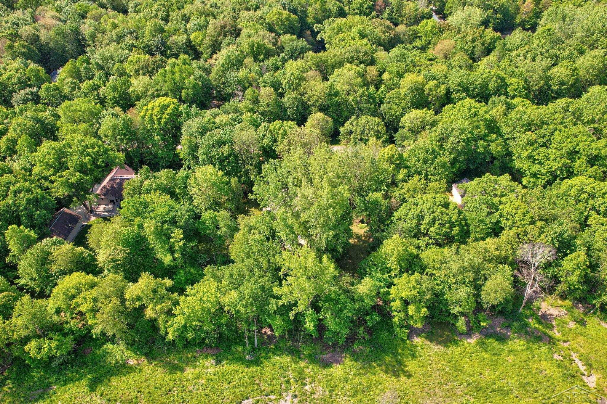 16344 Northern Pintail Drive, Hemlock, MI 48626 — Photo 66