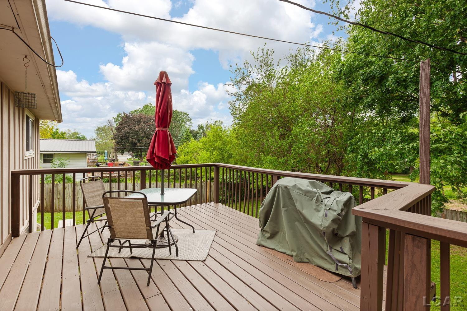 311 Marion Street, Clinton, MI 49236 — Photo 9